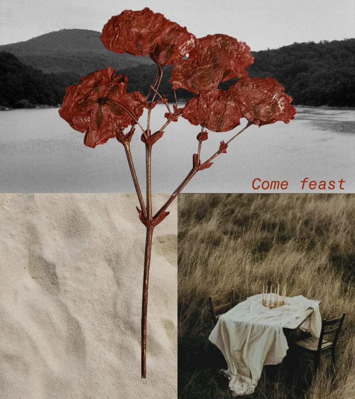 God is inviting us back to the table.

Why do we settle for crumbs of validation from others when He offers the fullness of His delight? Why do we reach for scraps of control when He offers the peace of His presence?

The table is set and He is waiti