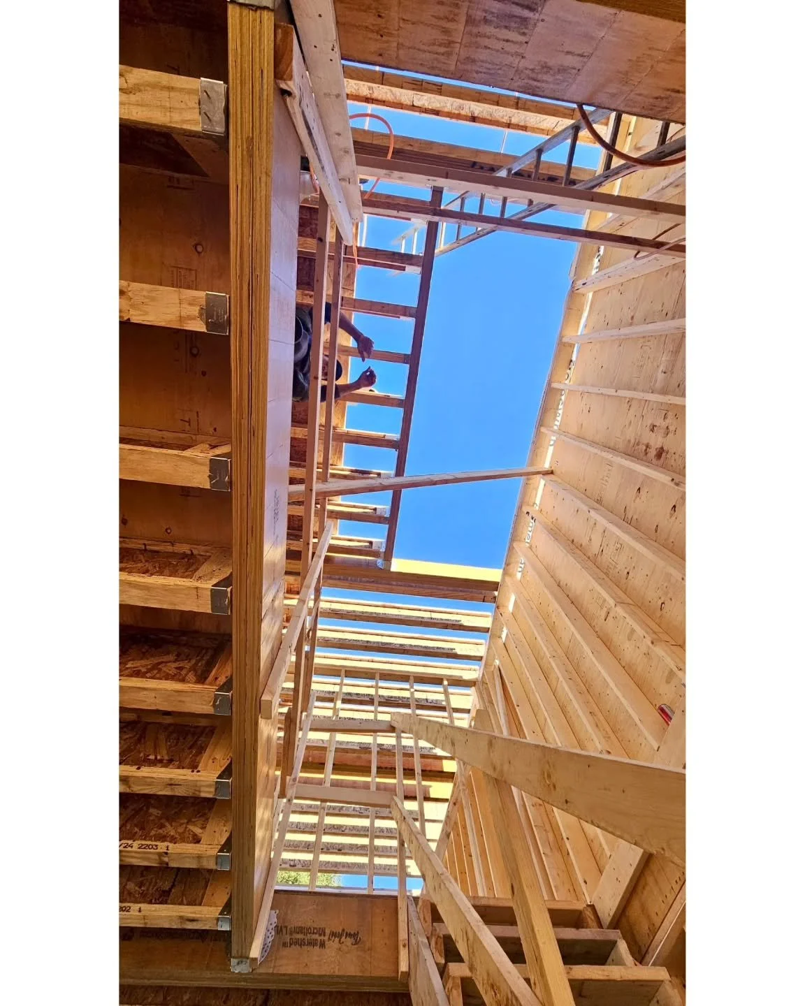 Framing as seen up, from down below! (raccoon eyeview 🦝😉)
#framing #perspective #construction #toronto #ontario #framingcontractor #carpentry #summer #canastruct #constructionlife #customhomes #framer #builder #canada #framingcontractors #bluesky