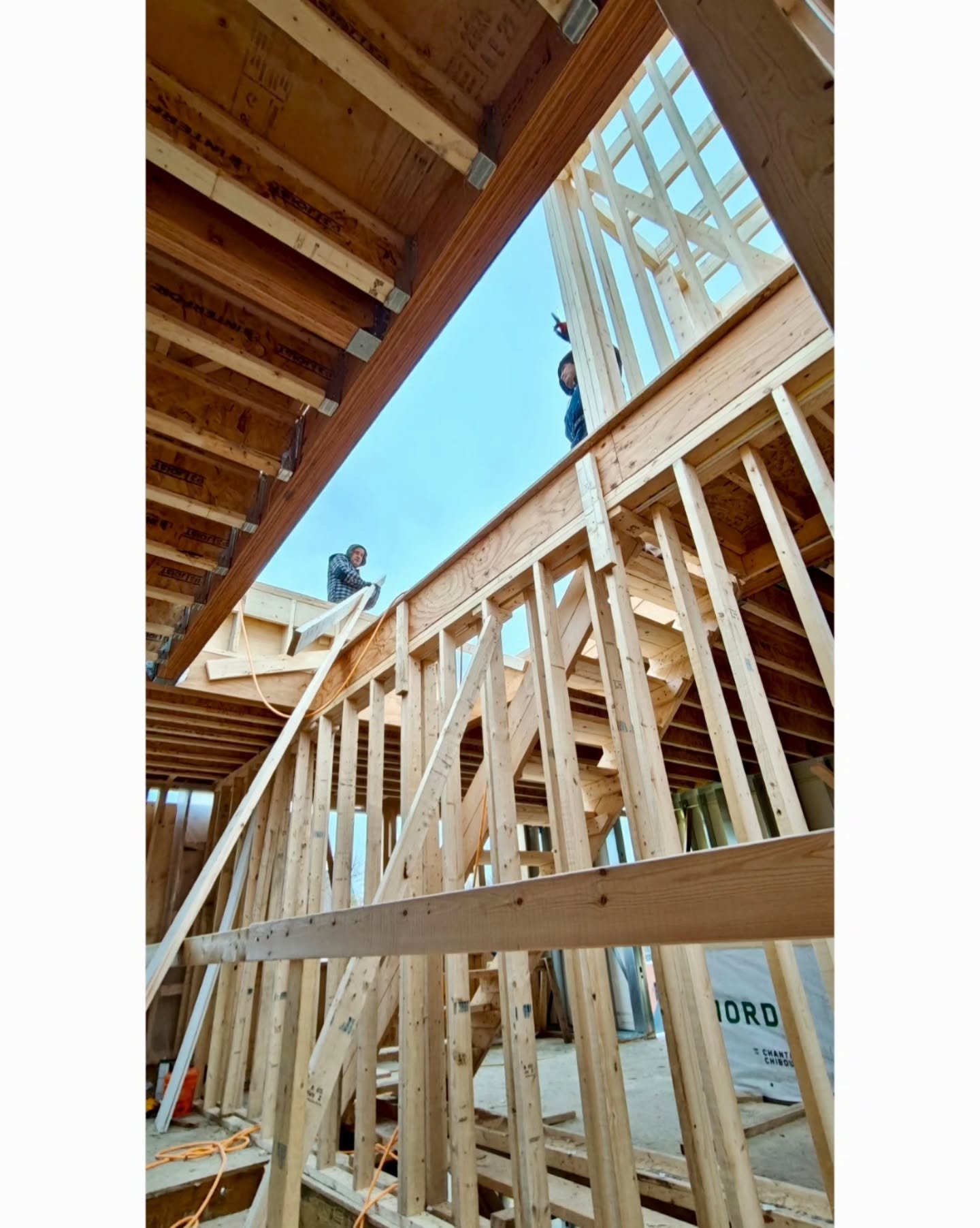 🔨 roof framing and sheathing underway with winter weather approaching 🌬️ ❄️

#framing #customhomes #canadian #roofframing #structuralengineering #steelframing #winter #constructiontoronto #build #ontario #homebuilder #canastruct #constructionlife #