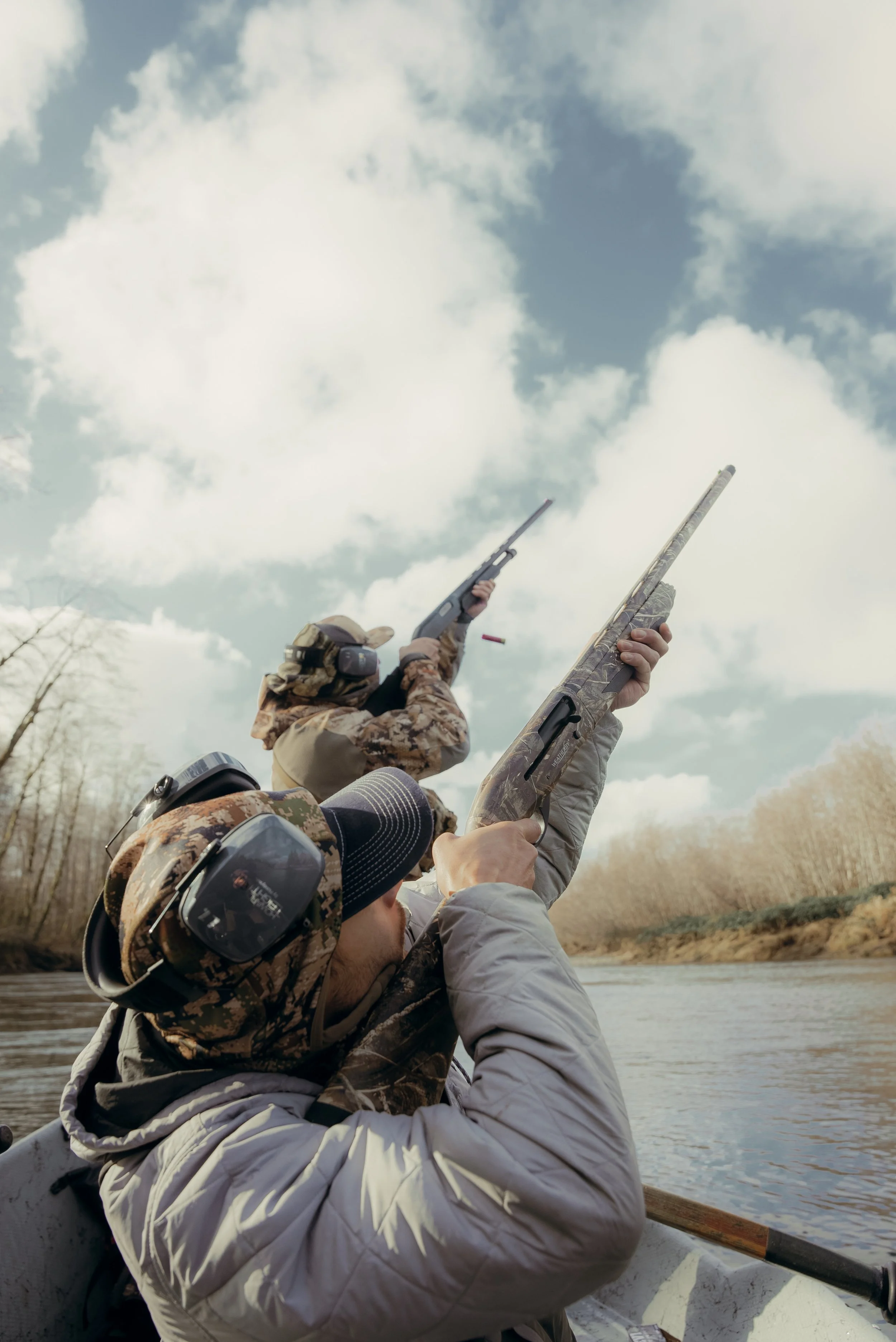 Hunting Hooded Merganser: Ecology, Impact &amp; Why It Matters on the Olympic Peninsula
