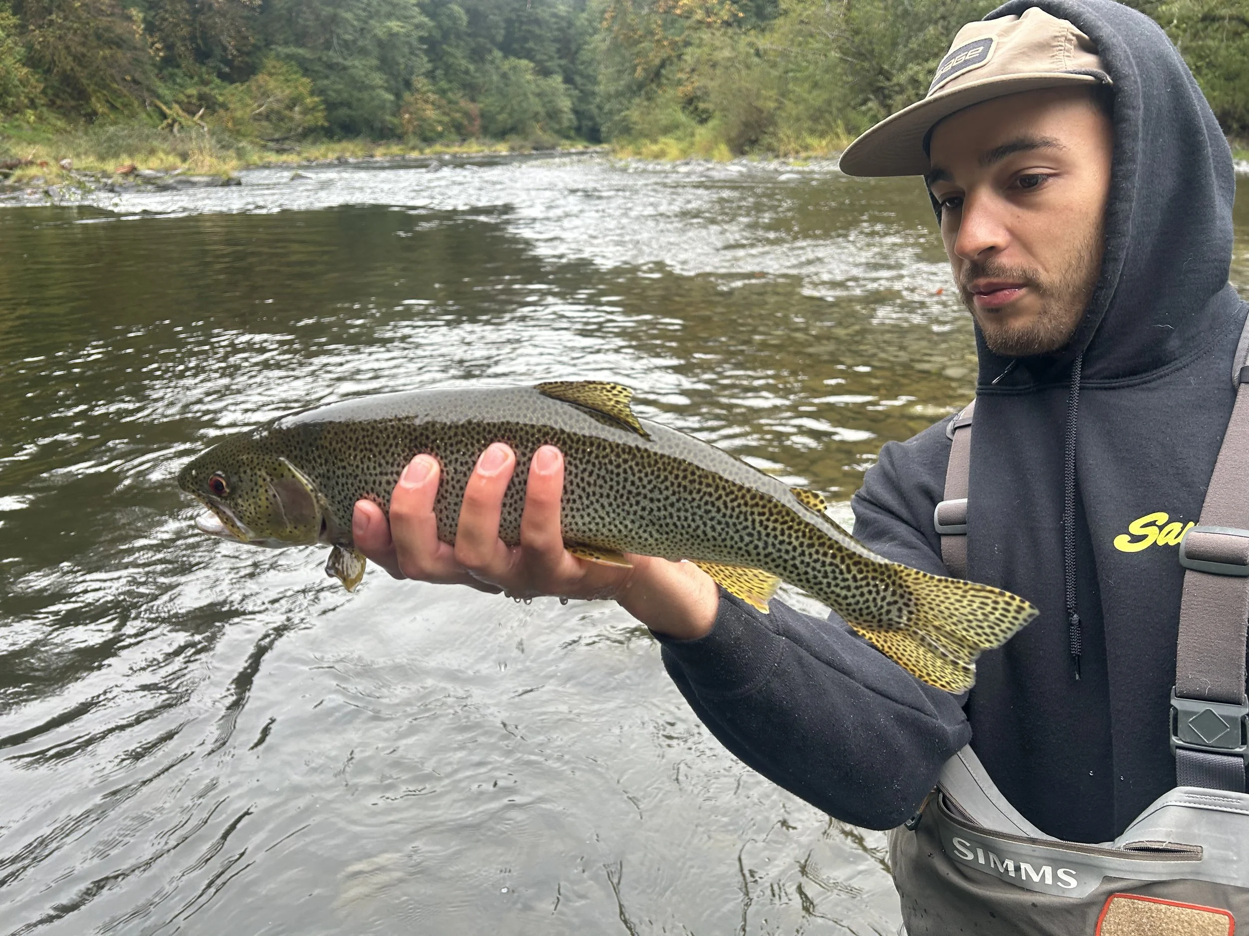 2026 Spring Fly Fishing Trips for Coastal Cutthroat Trout