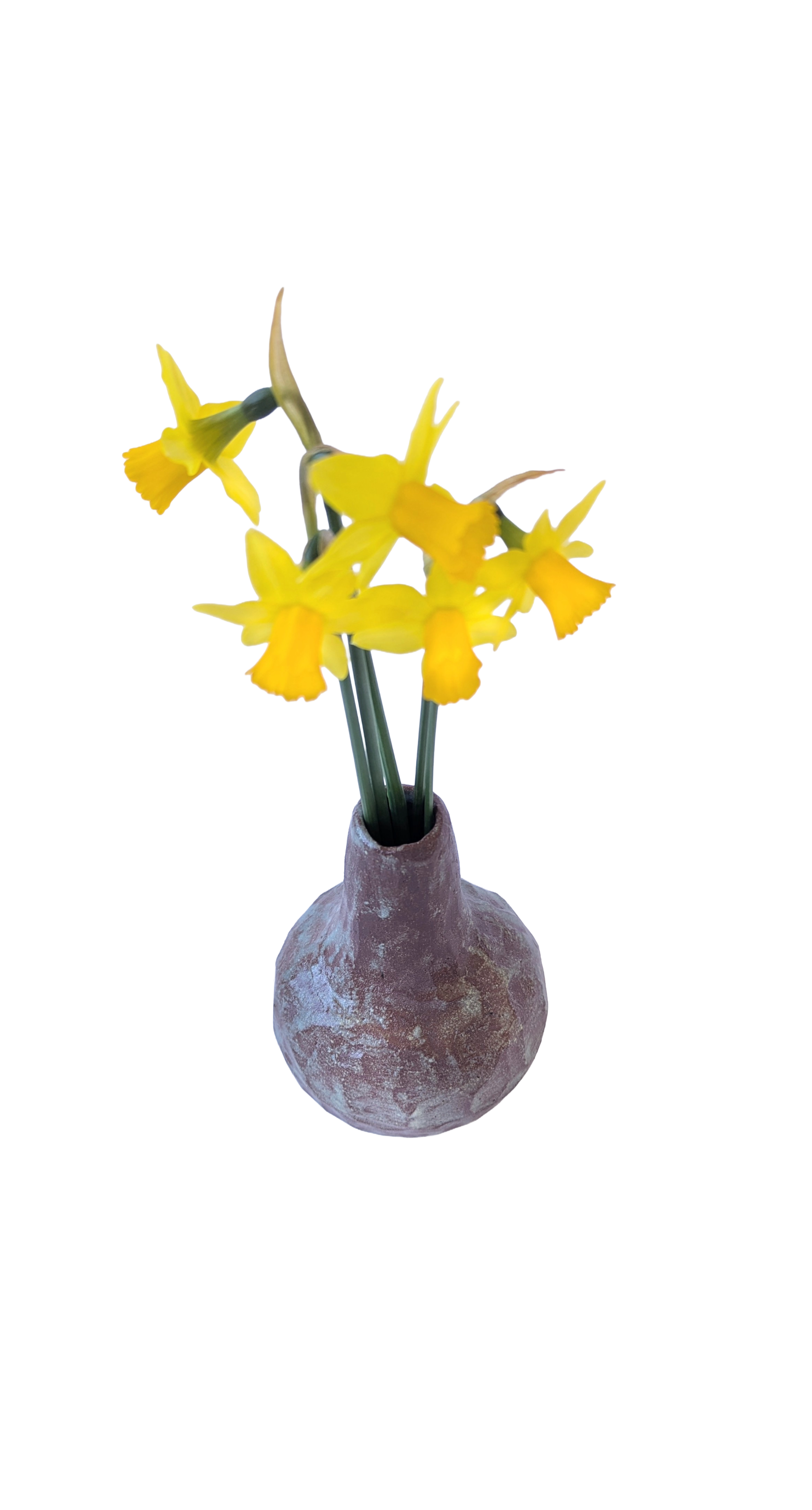 handmade ceramic vase with daffodils tan and blue textured matte finish glazed stoneware