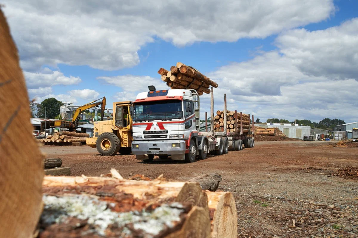 Insta Examples 1200px28.jpg