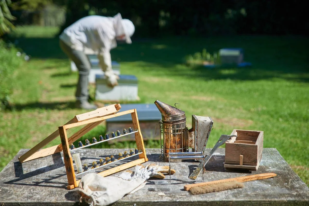 Insta Examples 1200px16.jpg