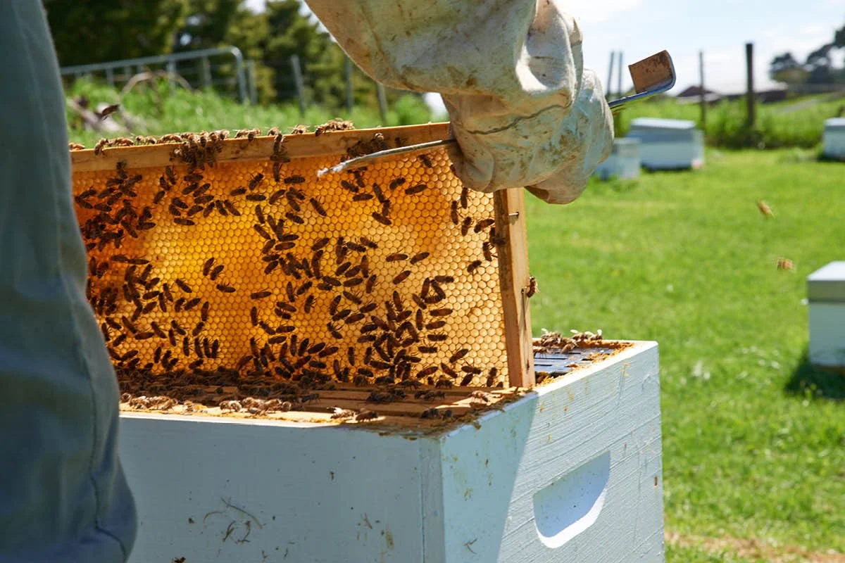 Insta Examples 1200px18.jpg