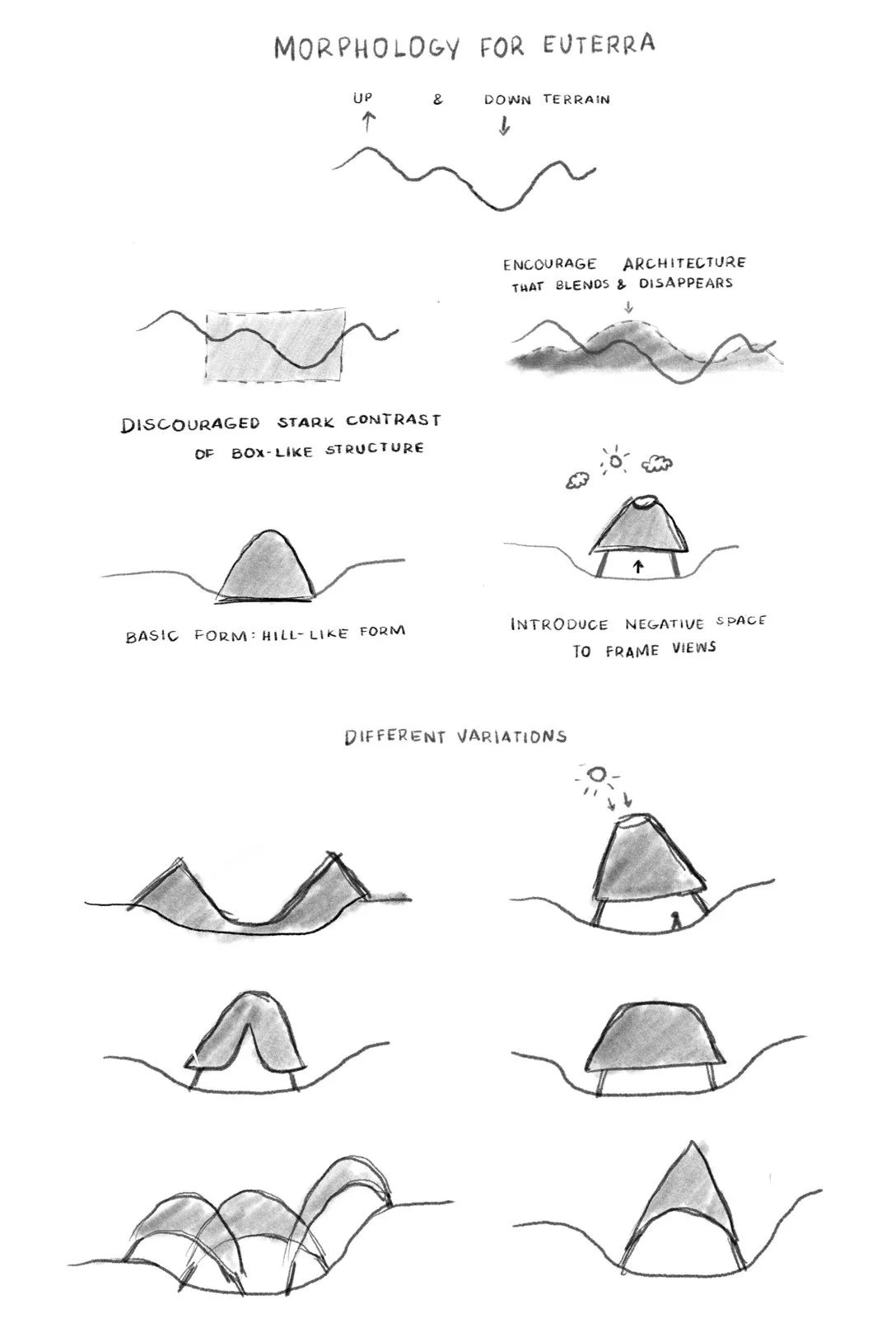 Morphology and Variations Sketch.jpg
