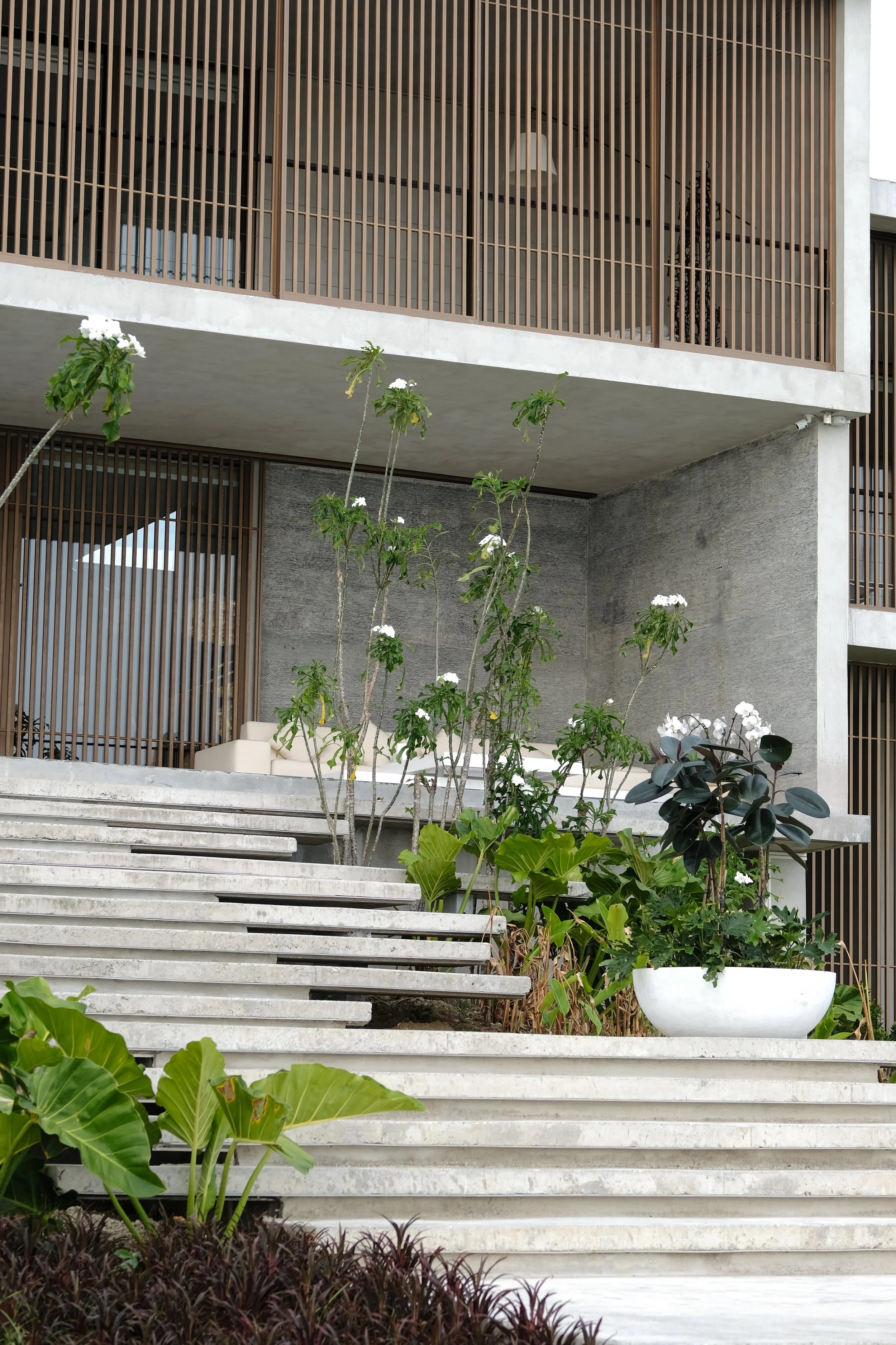 DSCF2440.jpg