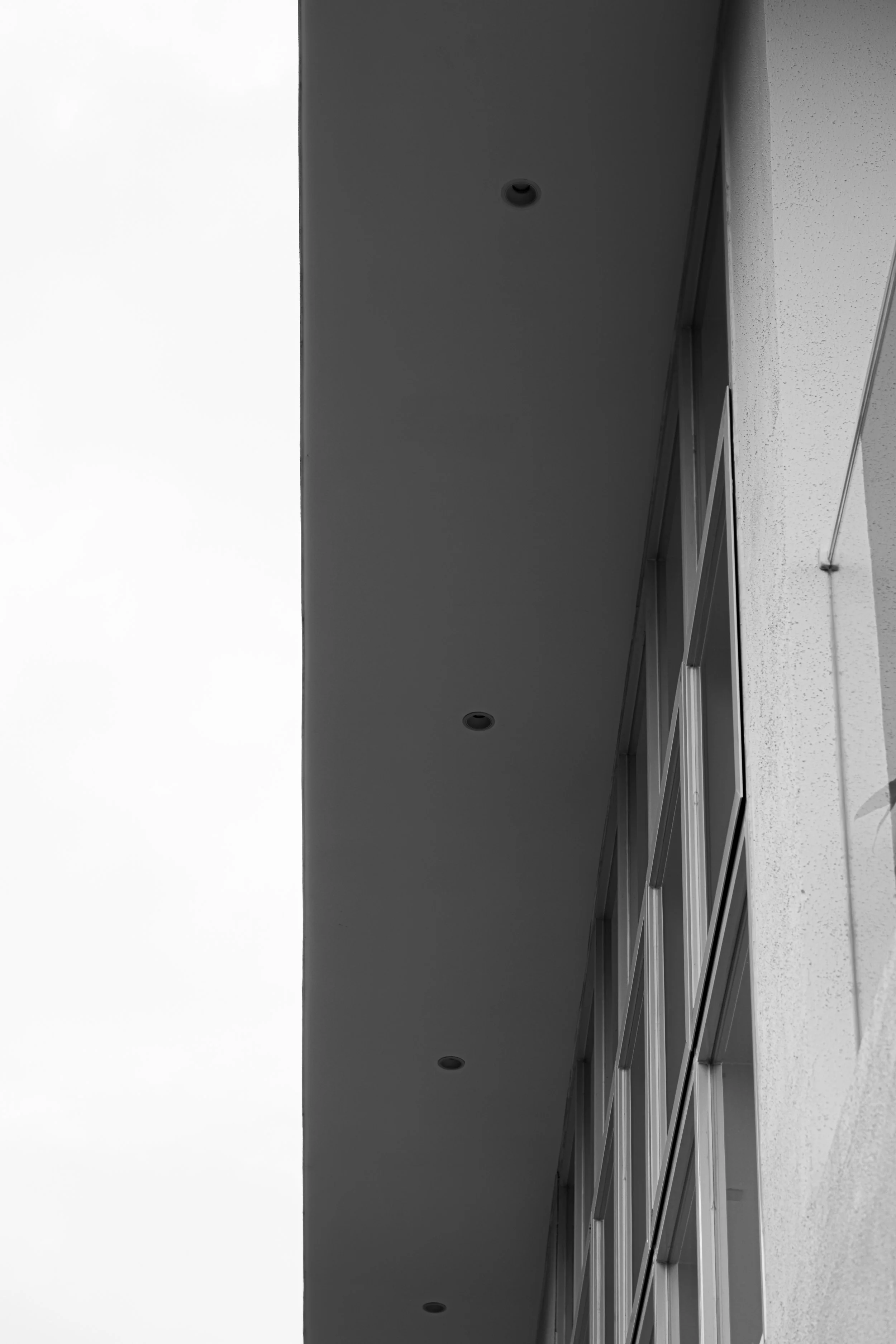 DSCF5728.jpg