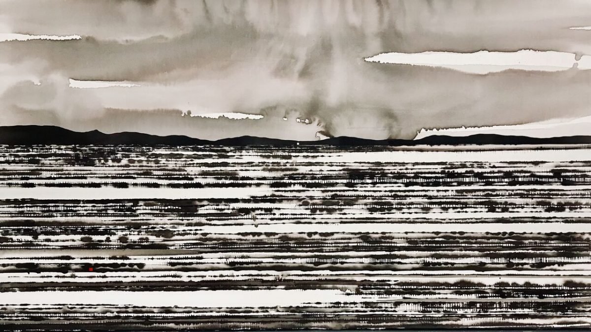 David Middlebrook | Rain and Desert Field, Central Australia