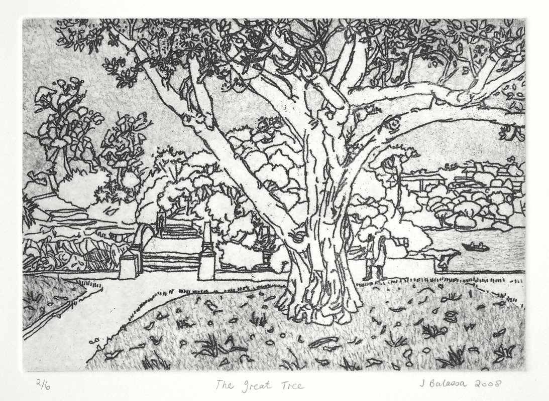 Jacqueline Balassa | The Great Tree