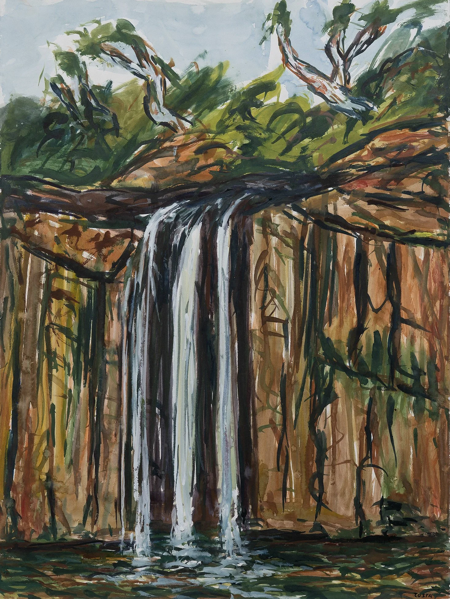 TONY COSTA | Waterfall with trees 1