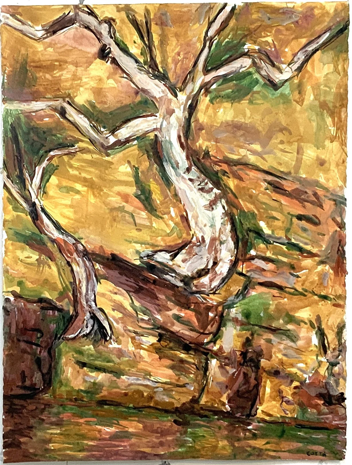 Tony Costa_Angophora No 15.jpg