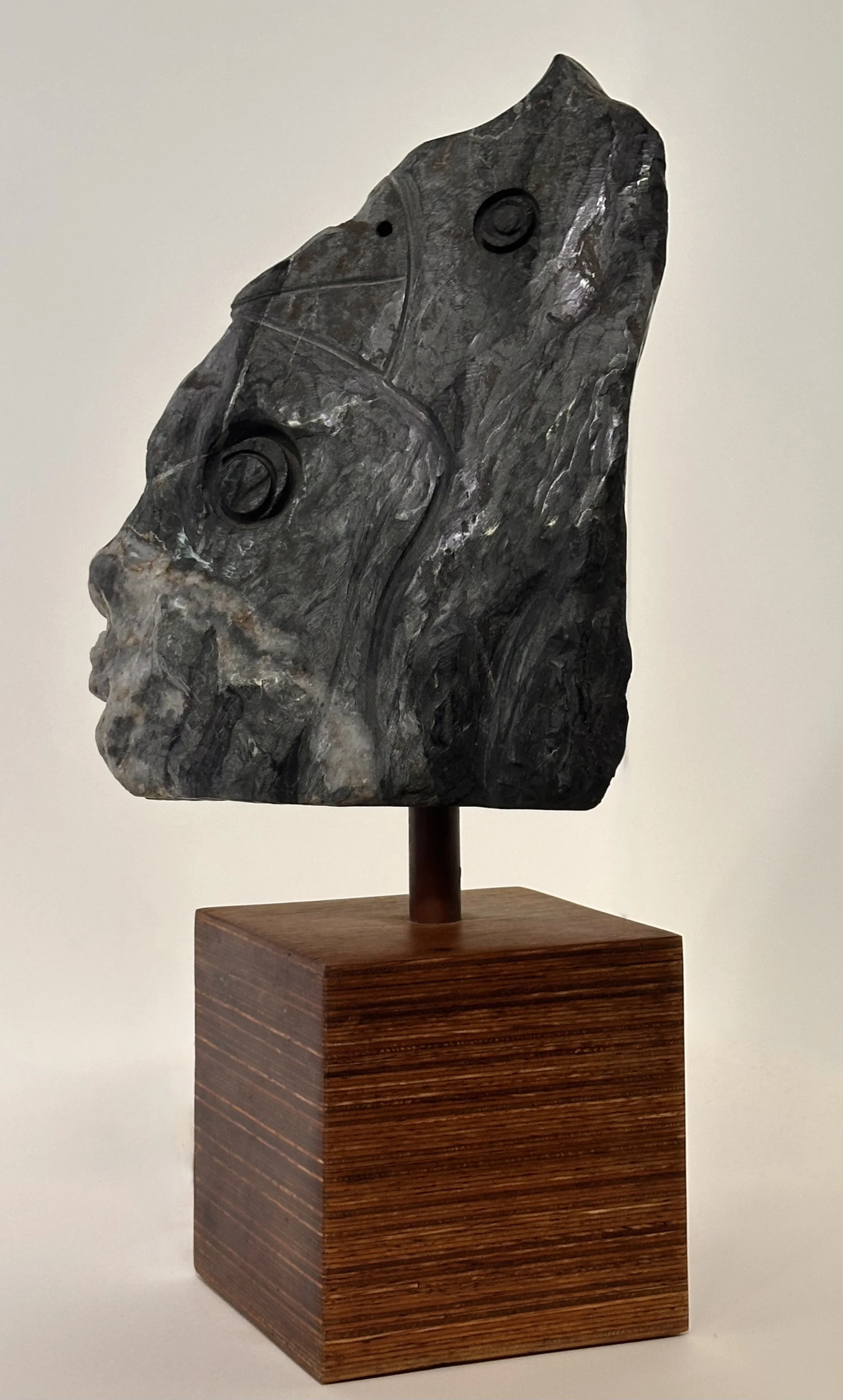 Carlos Barrios | Boy and bird 2