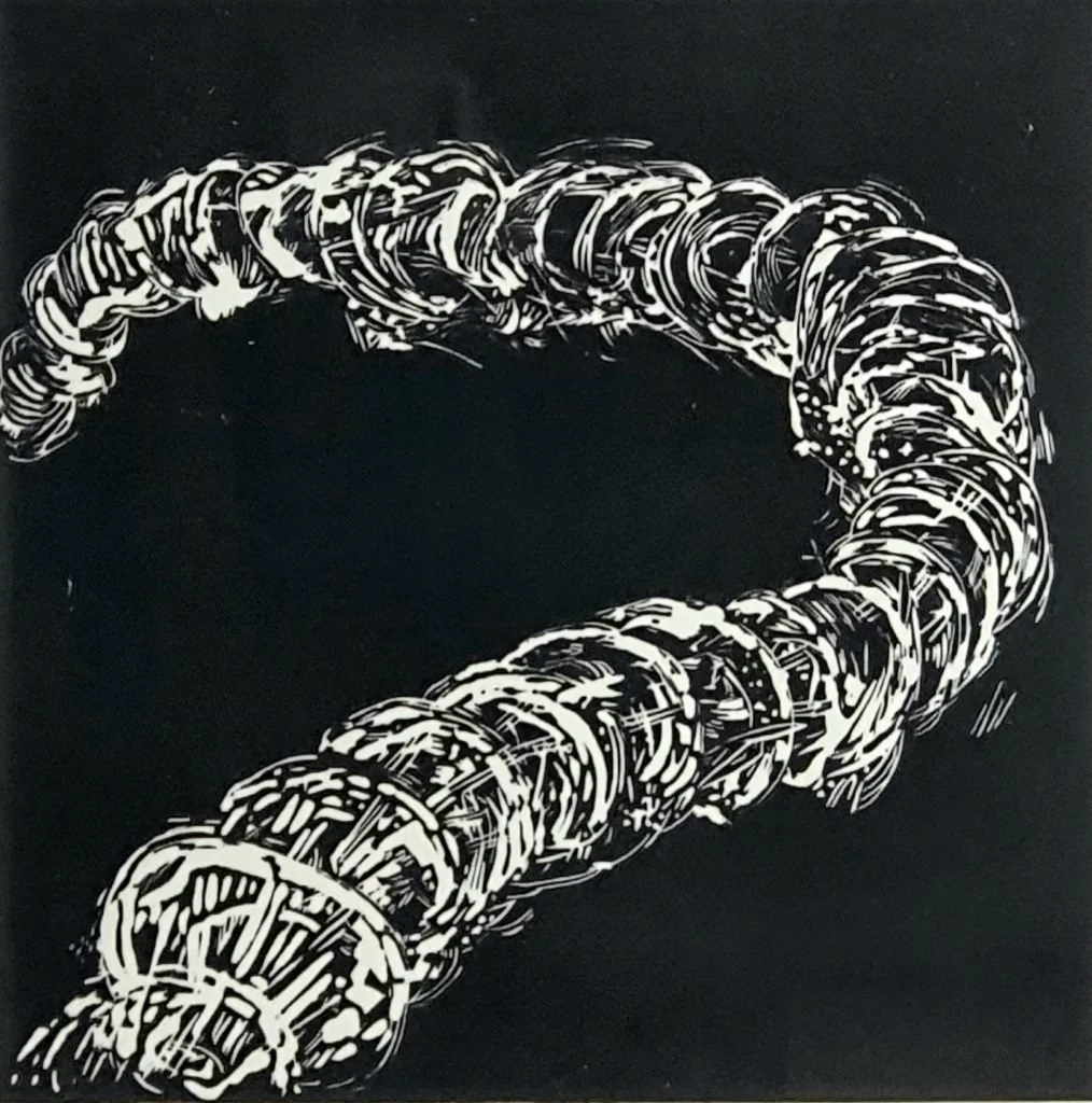 Andrew Tomkins | The Long White Line #2