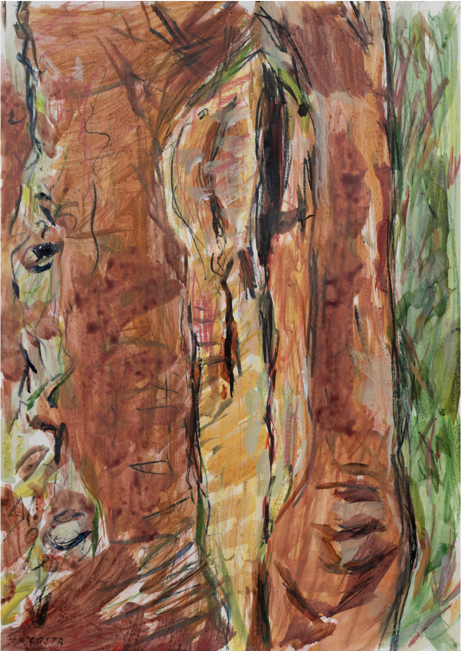 Tony Costa_Angophora No 28.png