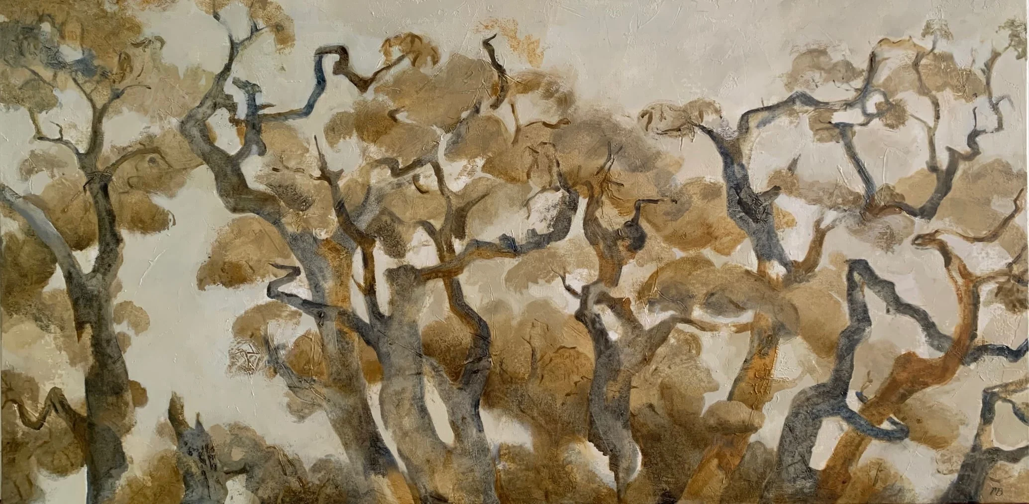 MICHELLE BELGIORNO | Angophora Arabesque