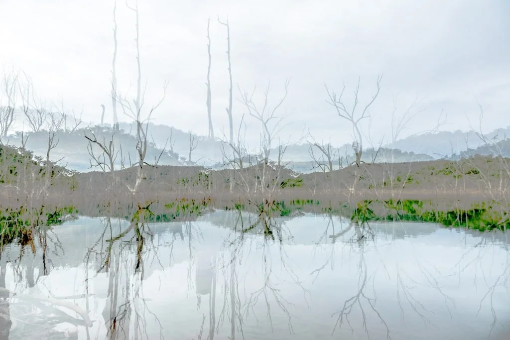 Asher Milgate | Damned – Untitled 1