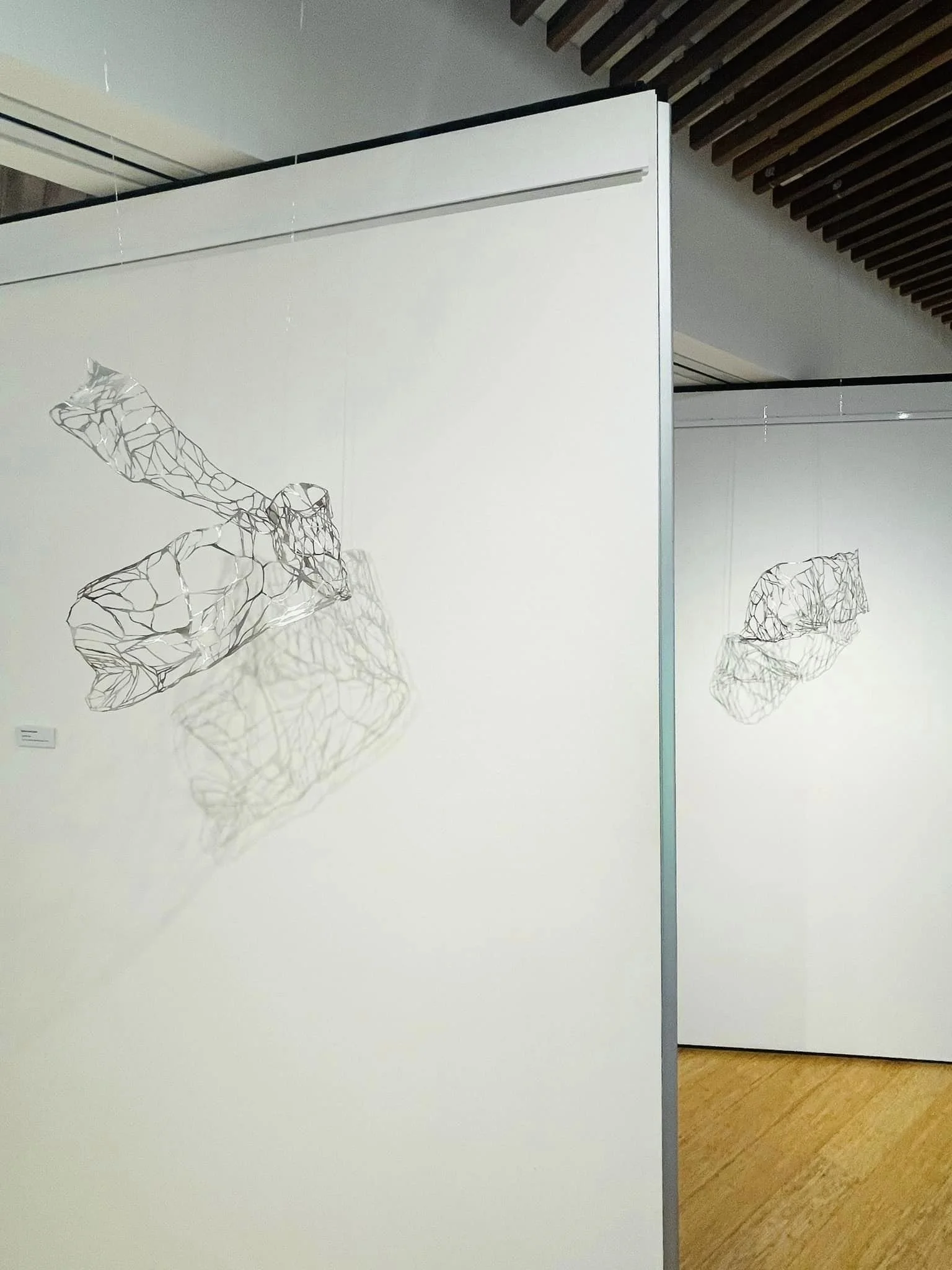 Art-Atrium-Pamela-See-news-8.jpeg