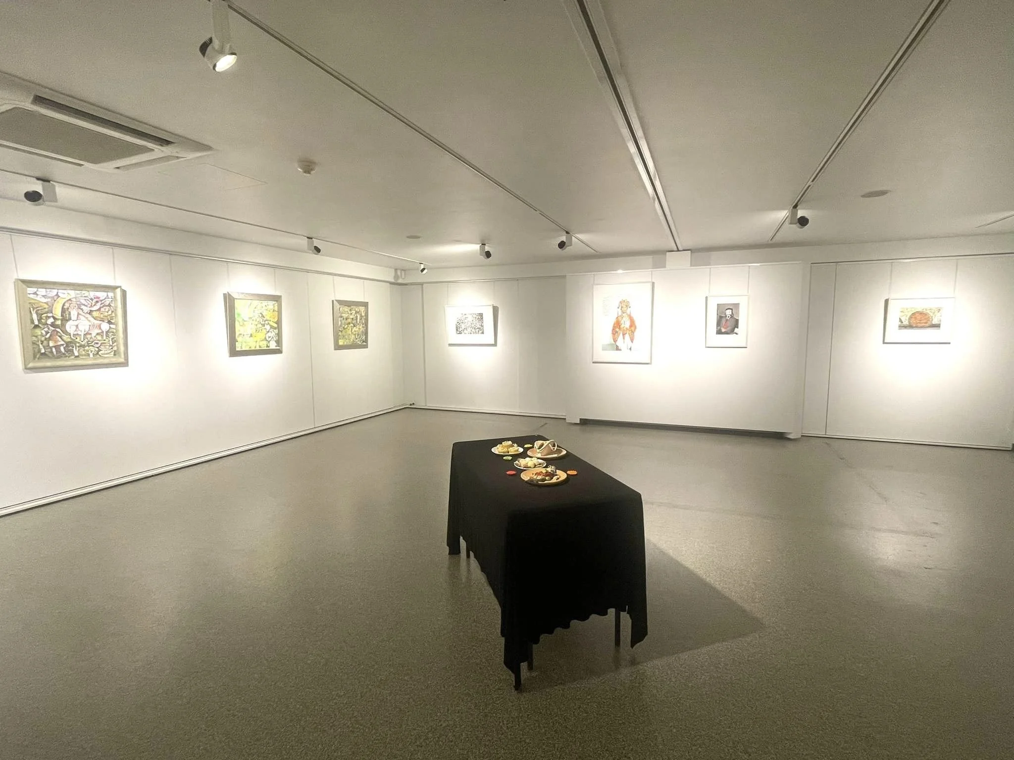 Transcendence exhibition opening at Gallery Lane Cove + Creative Studios