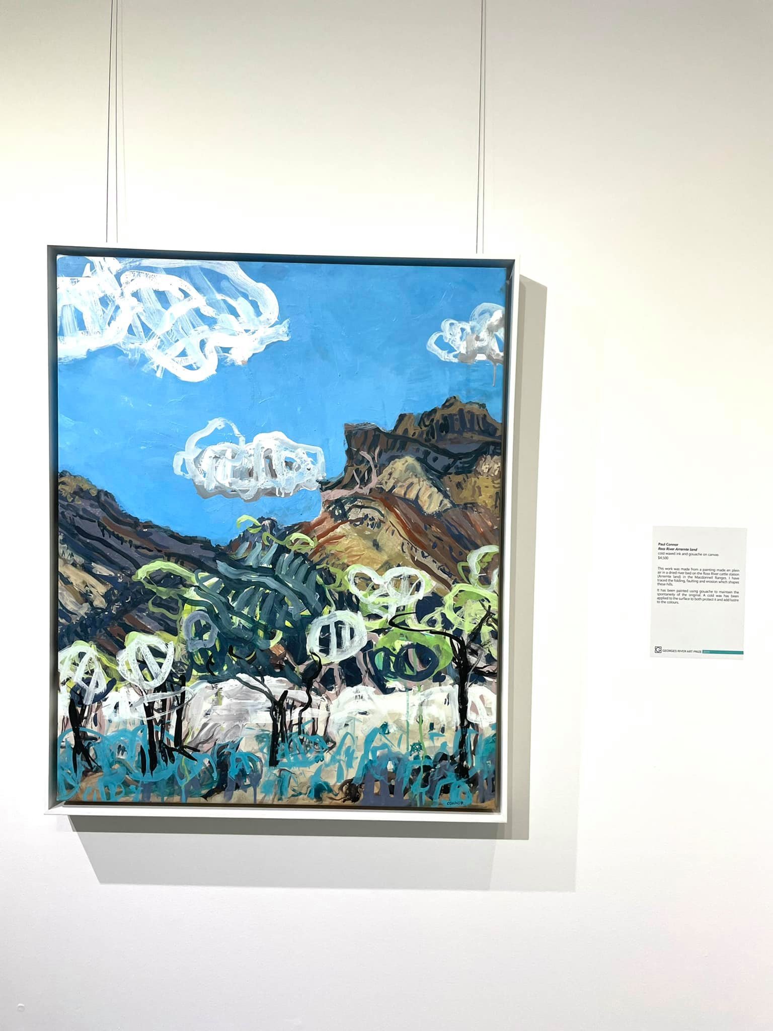Congratulations-to-Art-Atrium-artist-for-getting-the-Georges-River-Art-Prize-2.jpg