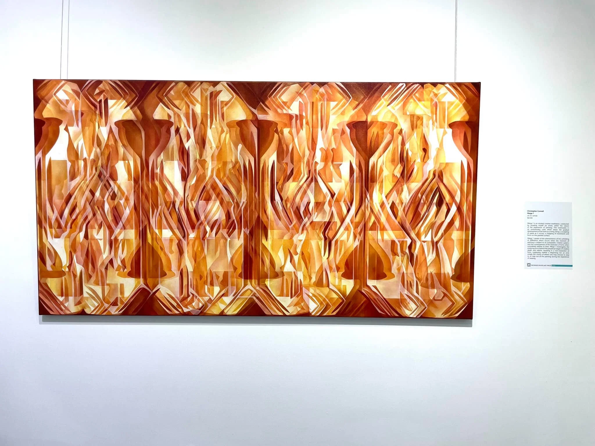 Congratulations-to-Art-Atrium-artist-for-getting-the-Georges-River-Art-Prize-5.jpg