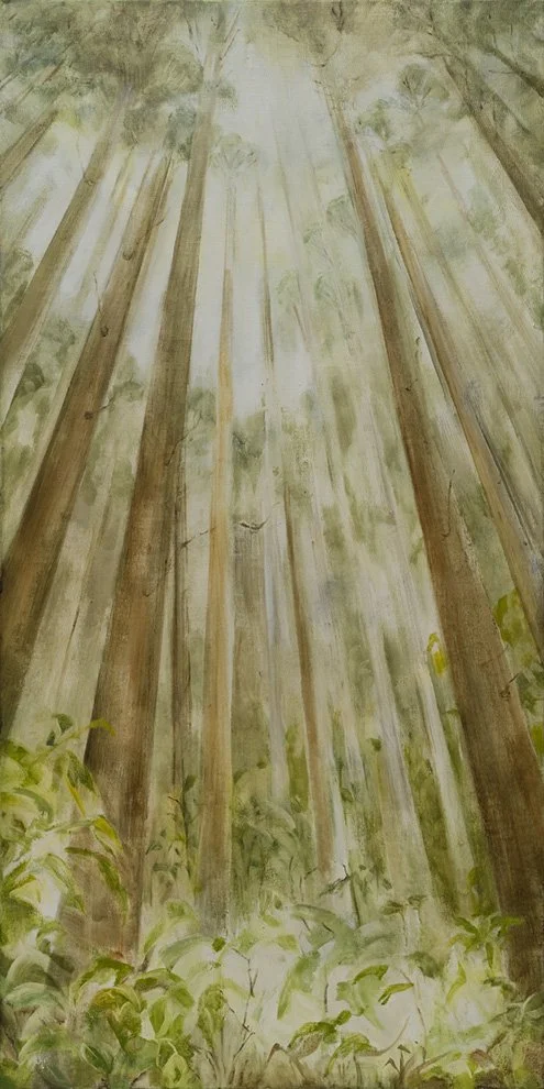 MICHELLE BELGIORNO | Shinrinyoku - Forest Bathing I