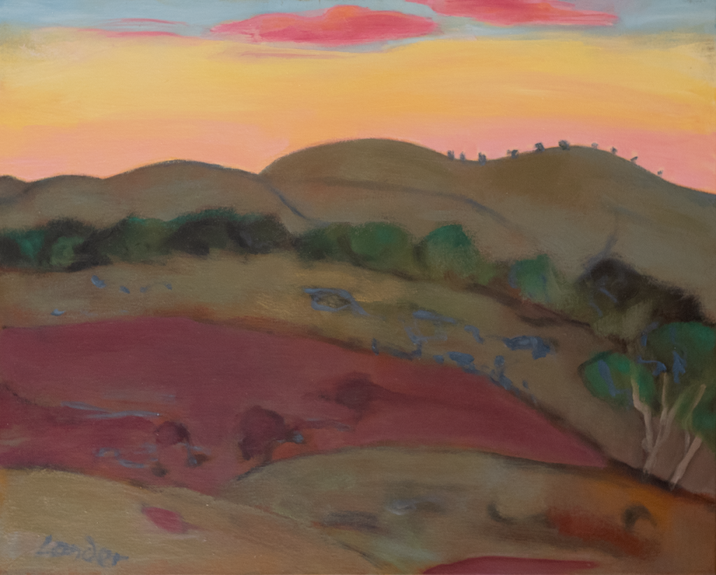 JANIS LANDER |  Sunset looking southeast