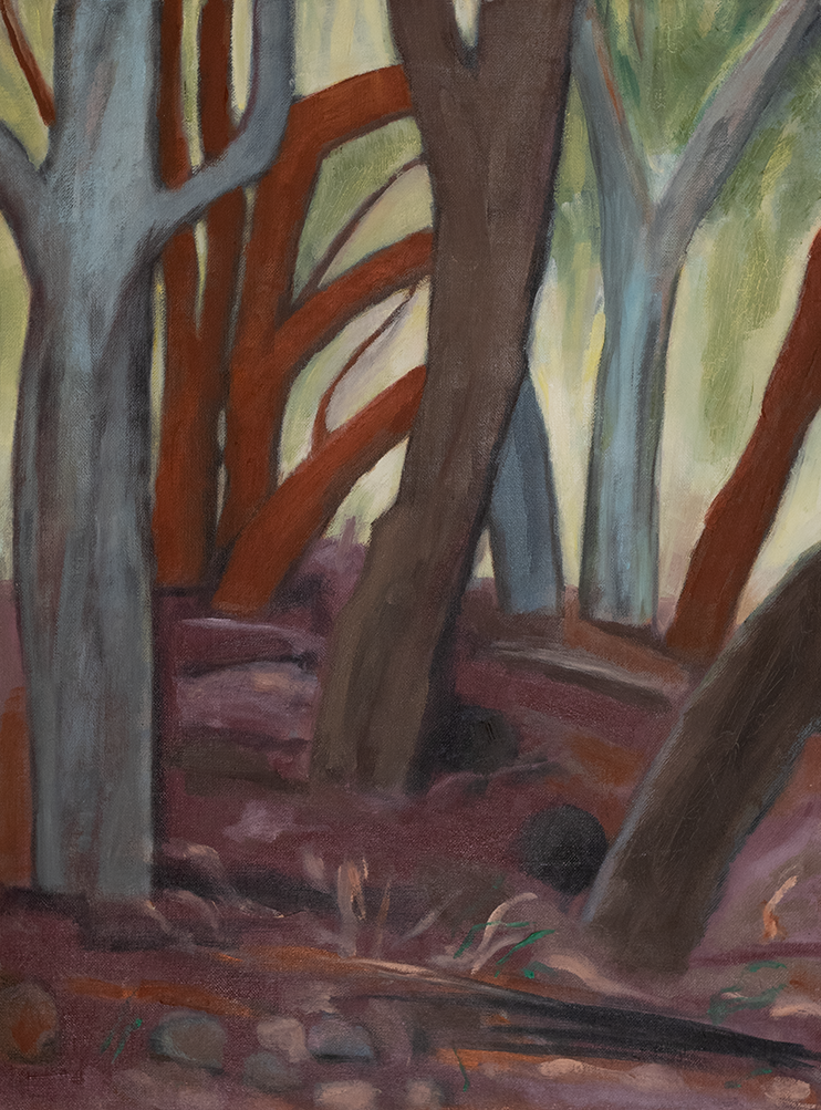JANIS LANDER | Dry Riverbed 1