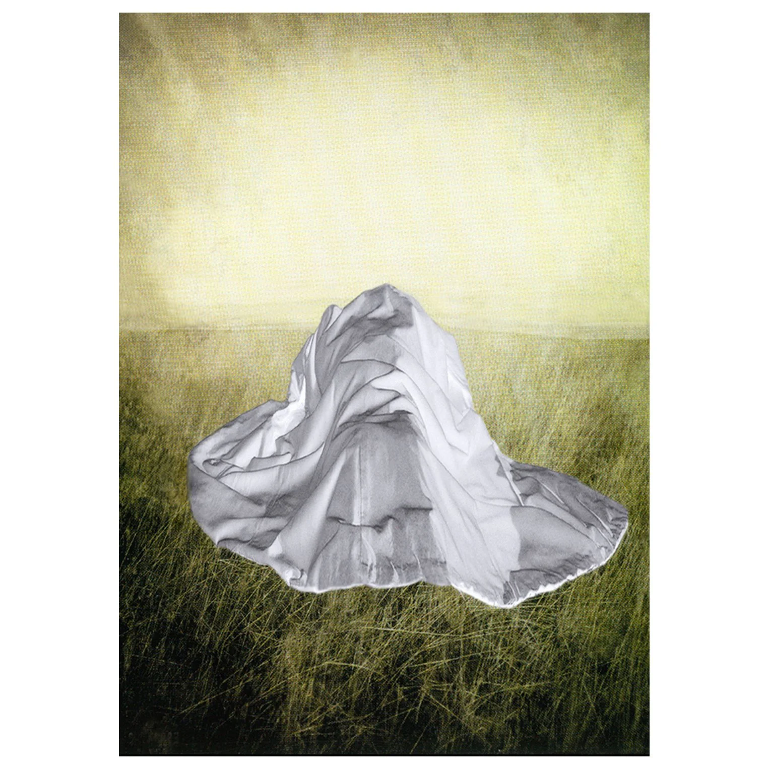 Pat Brassington