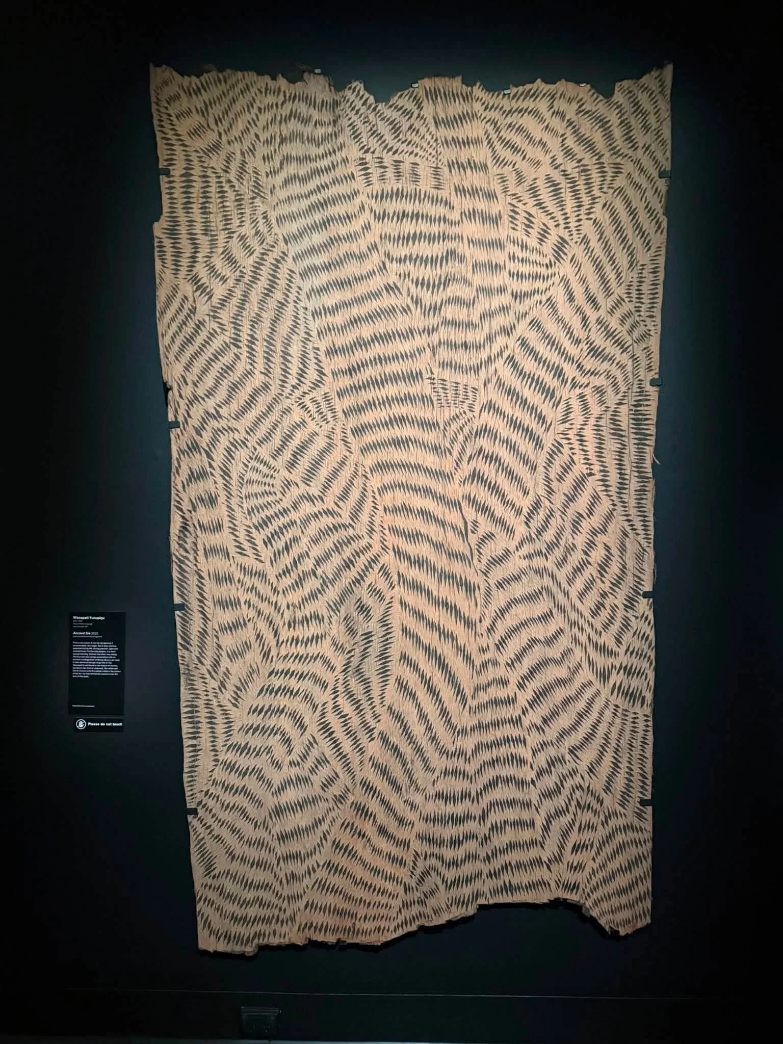 768247890_10166059580534903_5228193689388786978_n.jpg