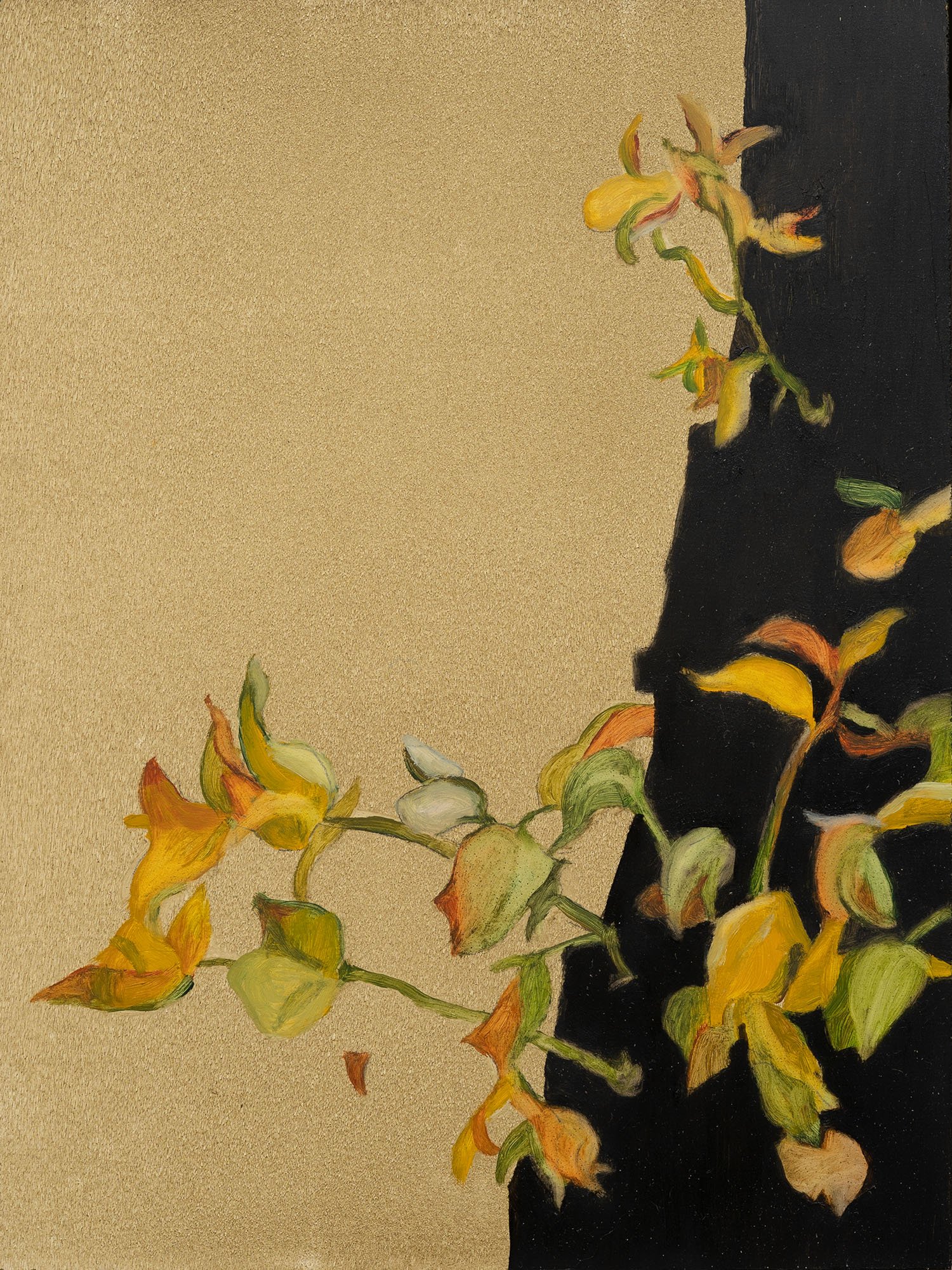 MICHELLE BELGIORNO | A Few of My Favourite Things VII