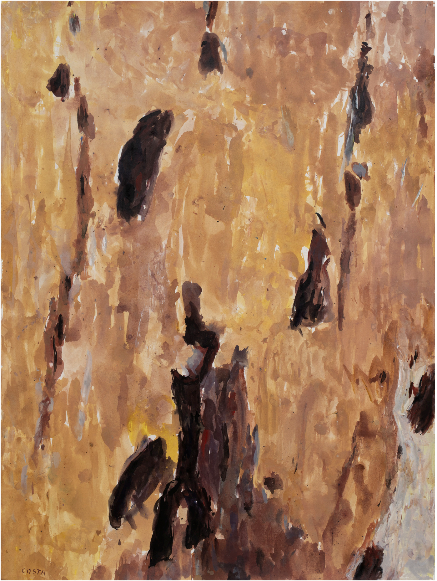 Tony Costa_Angophora No 21.png