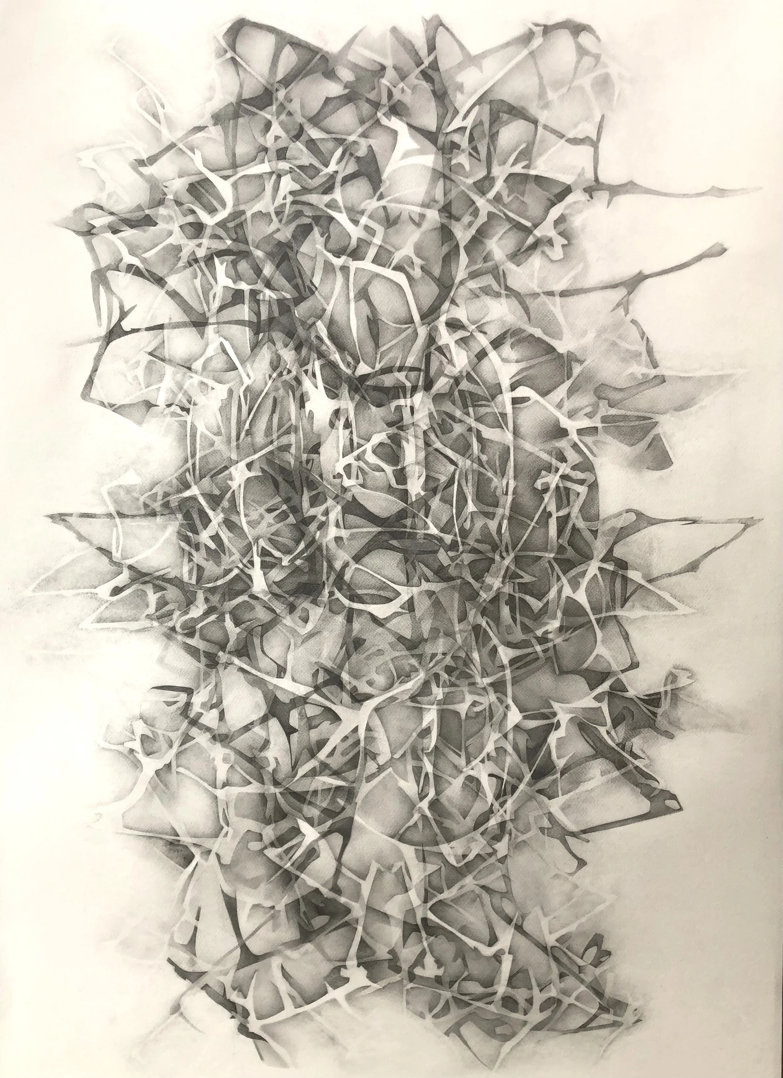 Christopher Connell | Protean ε