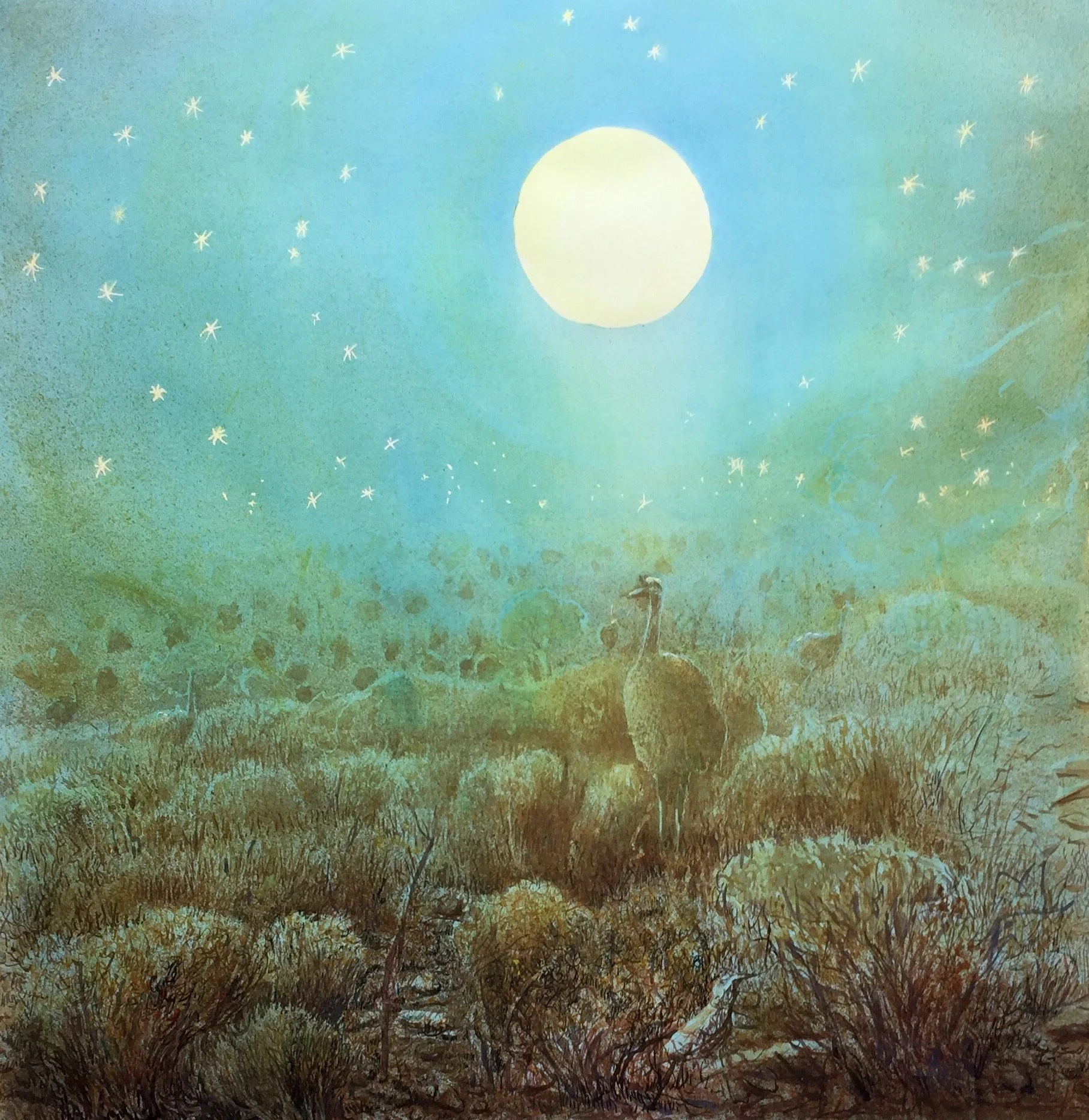 PATRICK SHIRVINGTON | Emu nocturne
