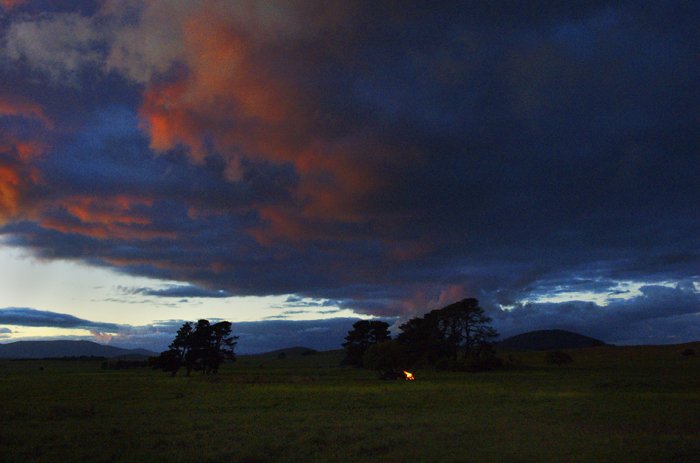 WILLIAM YANG | Driving to Braidwood