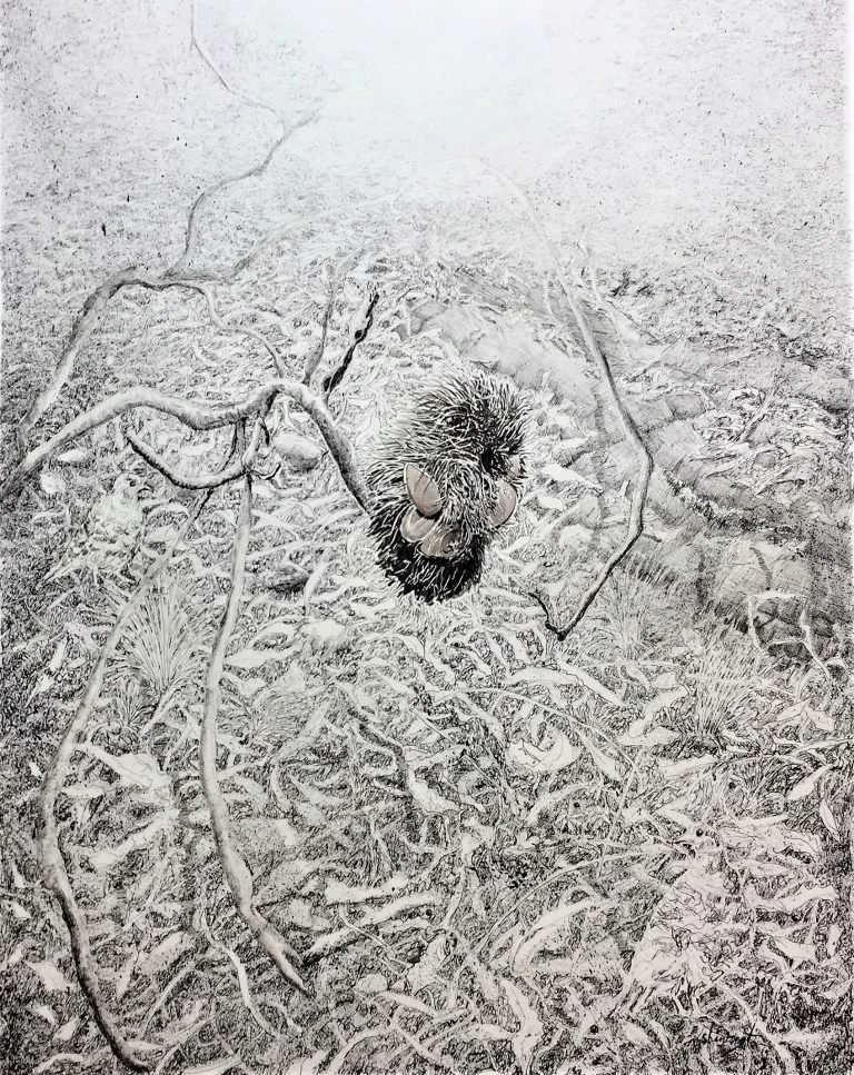 PATRICK SHIRVINGTON | Scene – Unscene