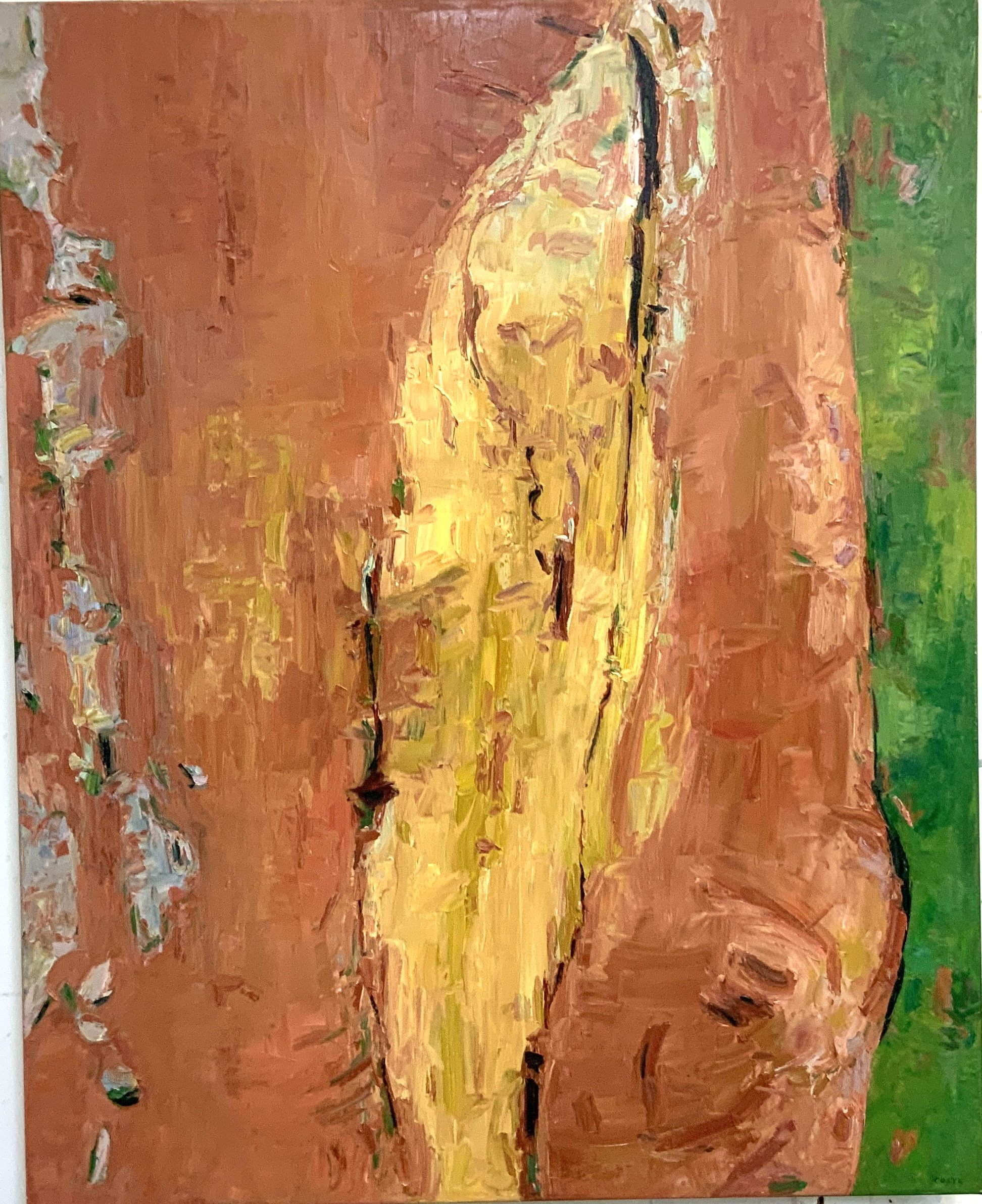 TONY COSTA | ANGOPHORA NO 4