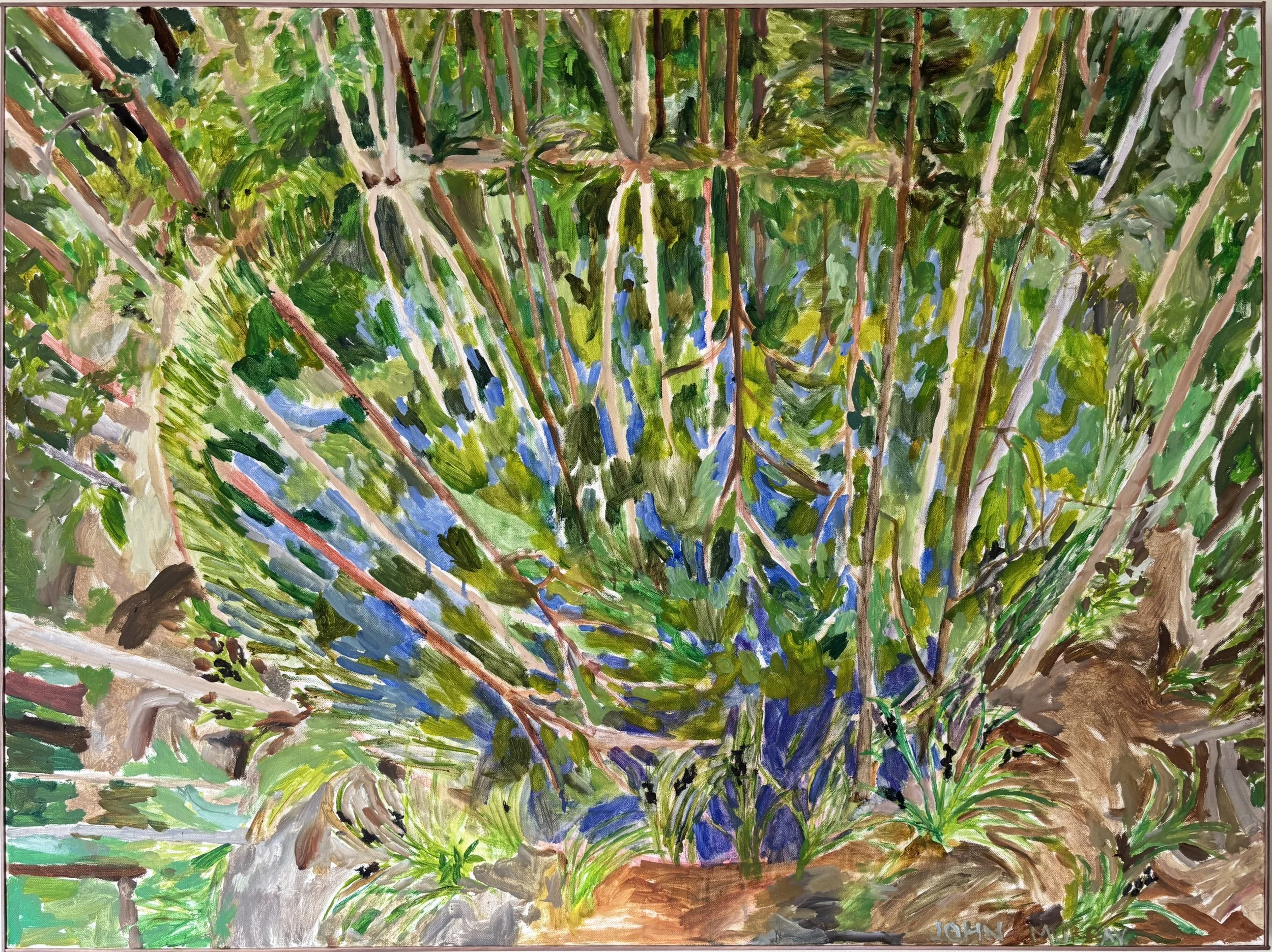 JOHN MURRAY | Beranghi Waterhole, Dunghutti Country Third Version