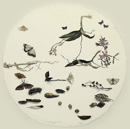 MAX MILLER | East Kangaloon & Ikuntji Studies