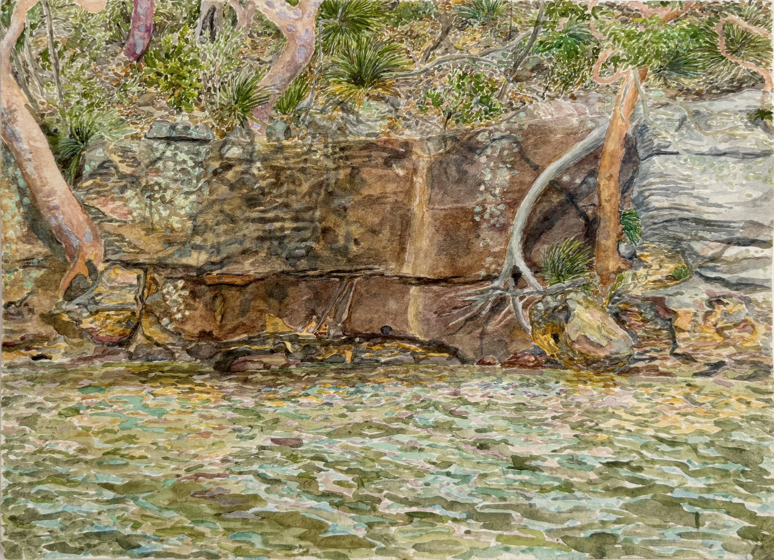 JOHN MURRAY | Cowan Creek, Garigal/Dharug/Darkinjung Country