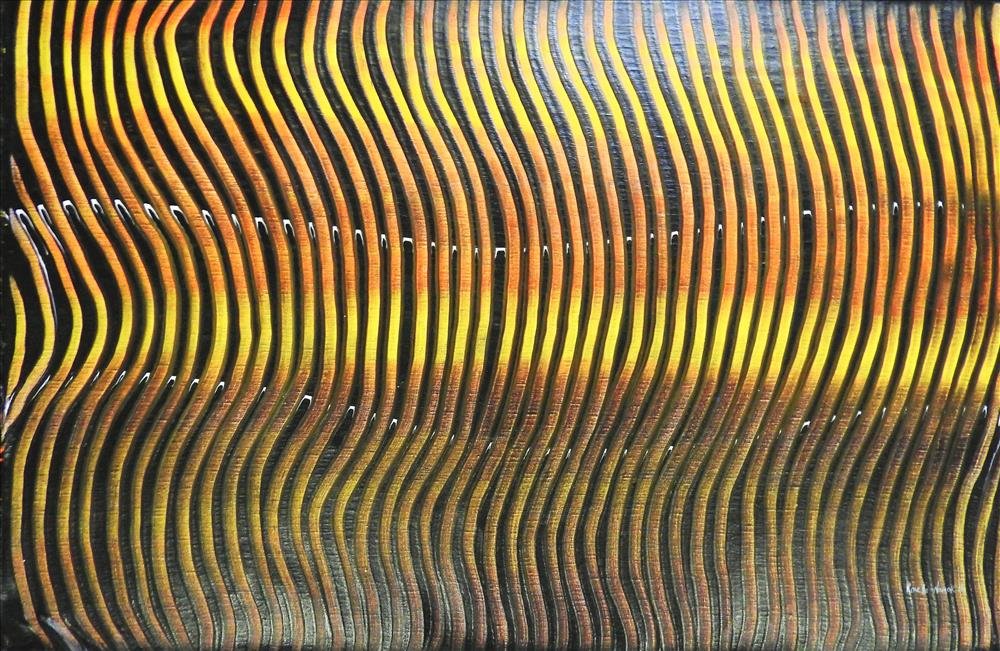 ROSELLA NAMOK | Low Tide Cat. # 16-660