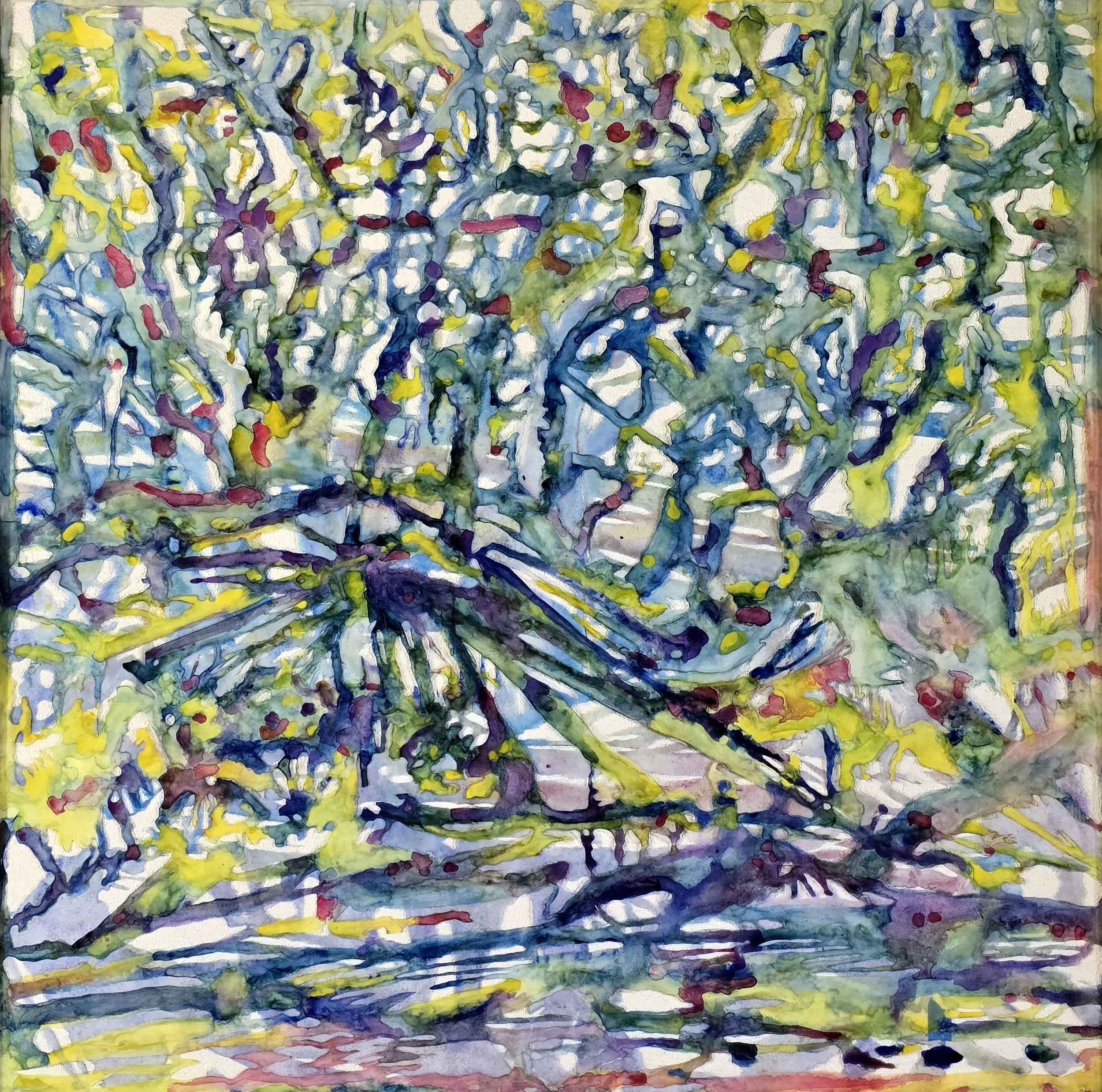 ANDREW TOMKINS | Looking Back Across the River