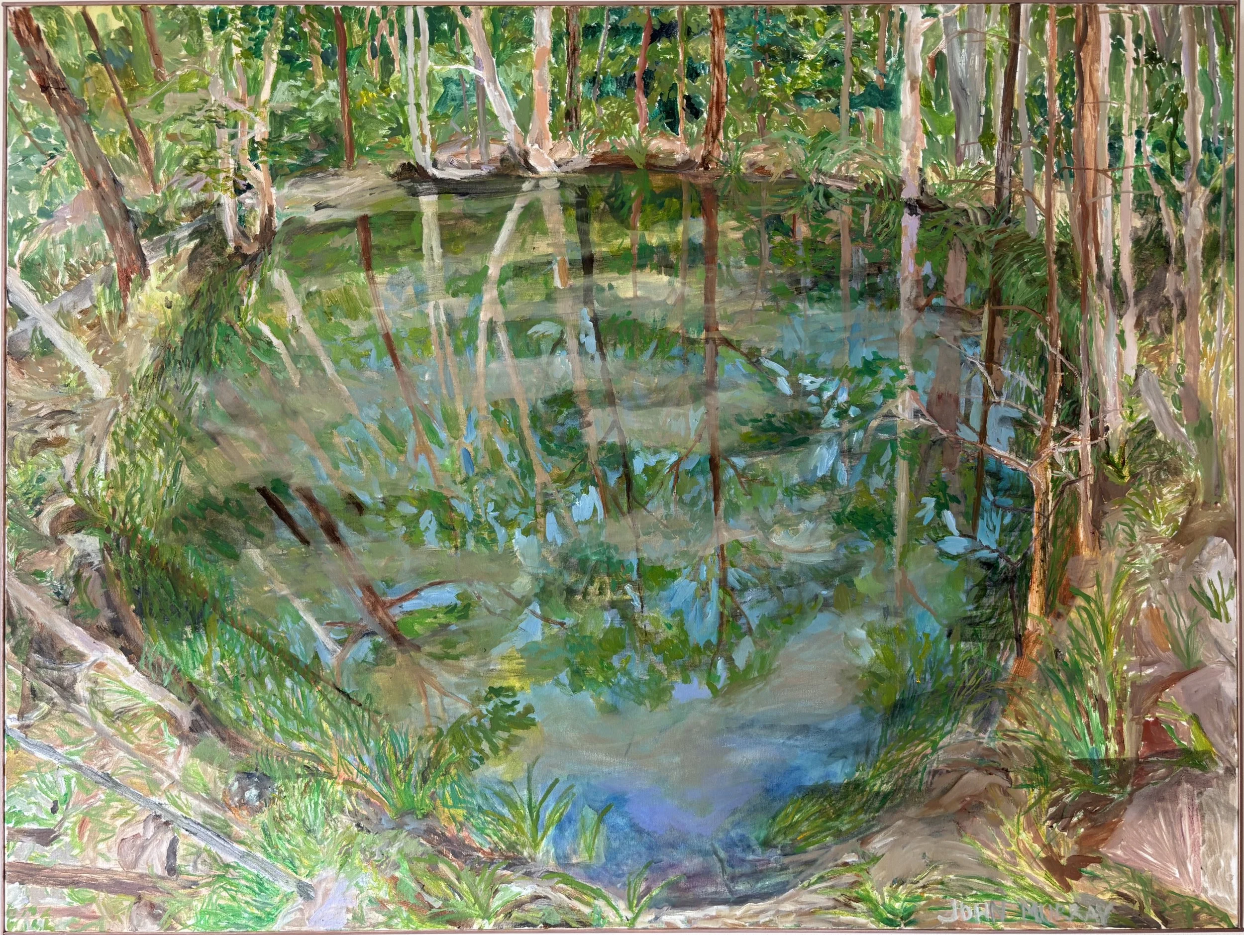 JOHN MURRAY | Beranghi Waterhole, Dunghutti Country First Version