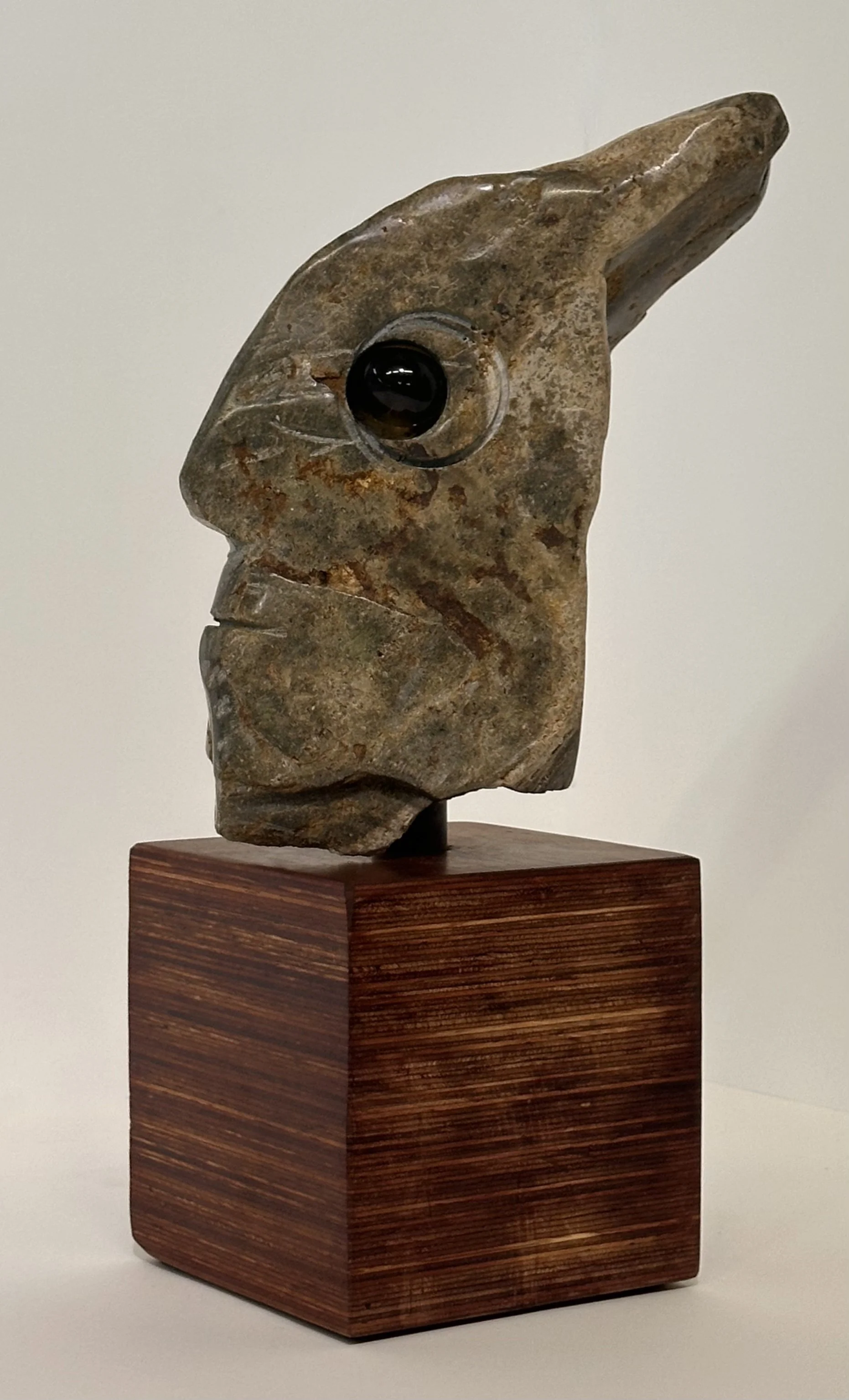 Carlos Barrios | Dolphin man 2