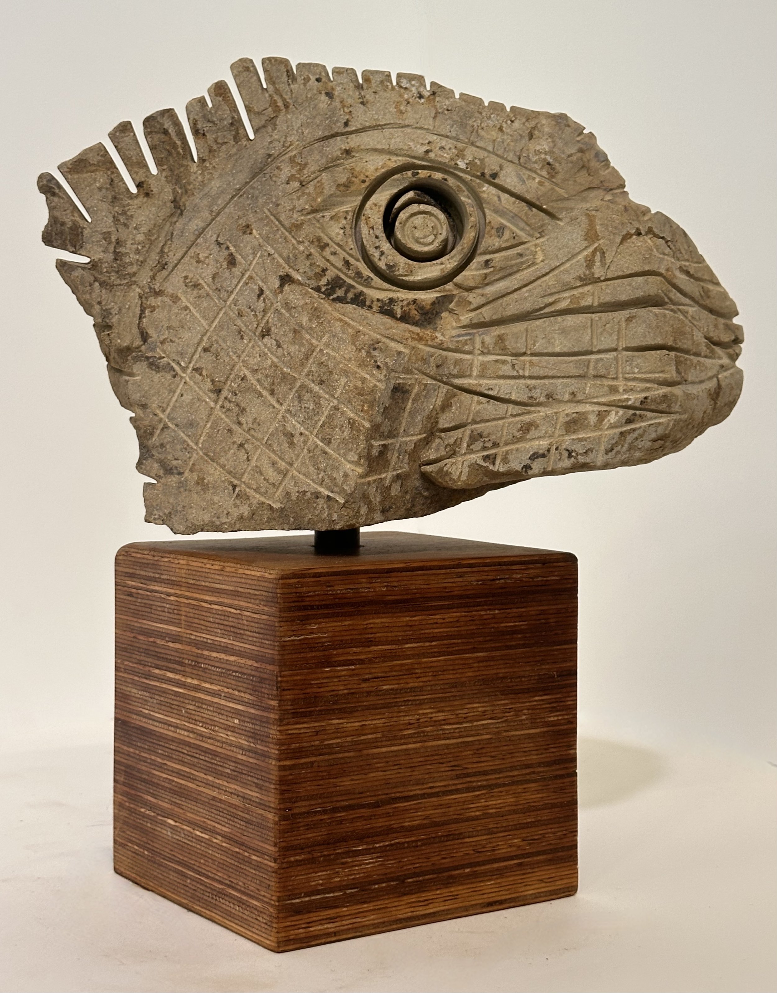 Carlos Barrios | Iguana