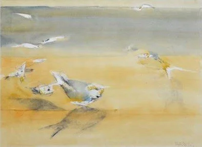 FRANK HODGKINSON | Fish of Arnhem Land