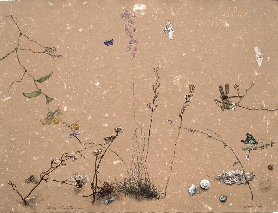 MAX MILLER | Studies – Barran Grounds