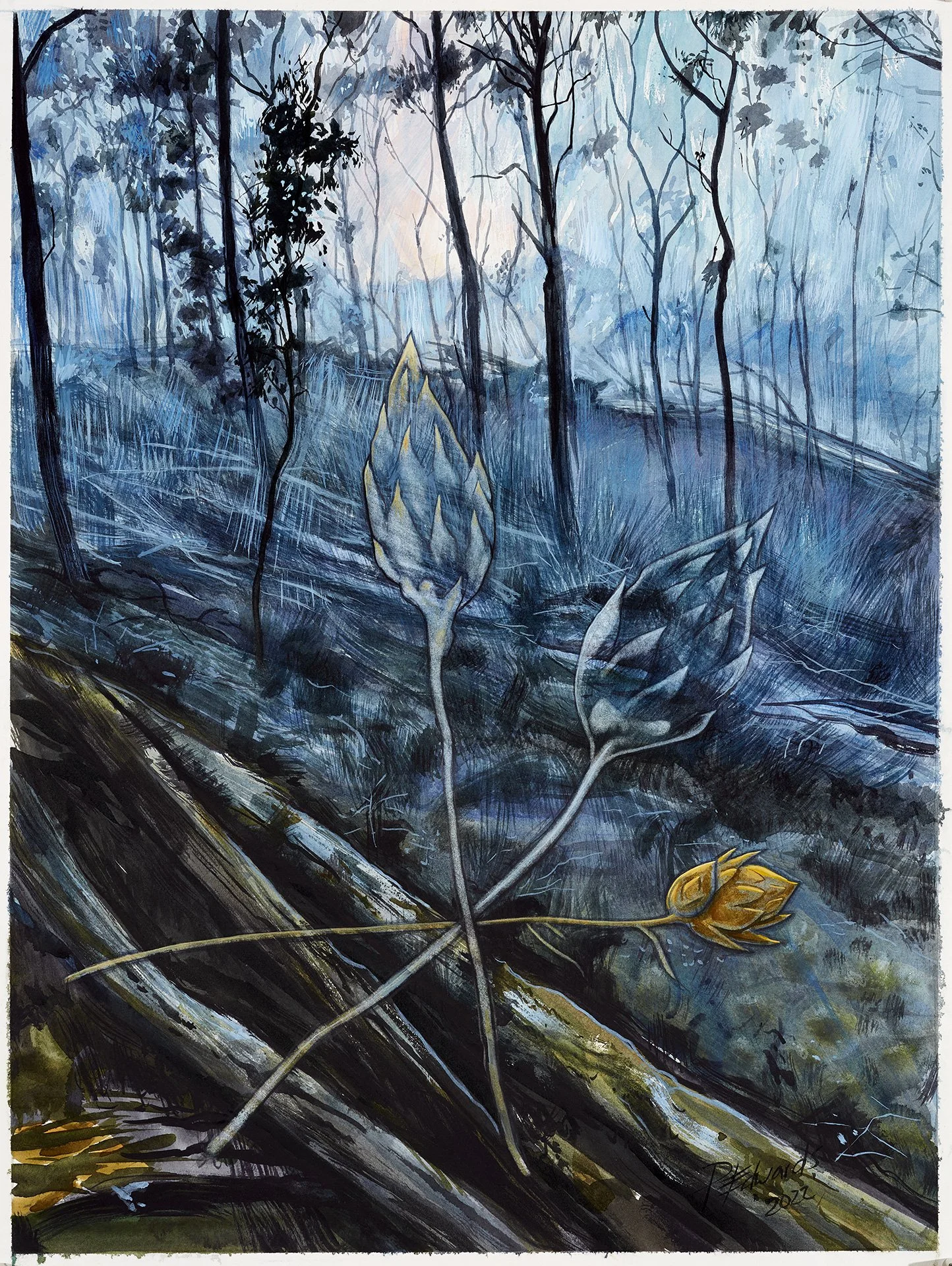 PHILLIP EDWARDS | Post storm consensus