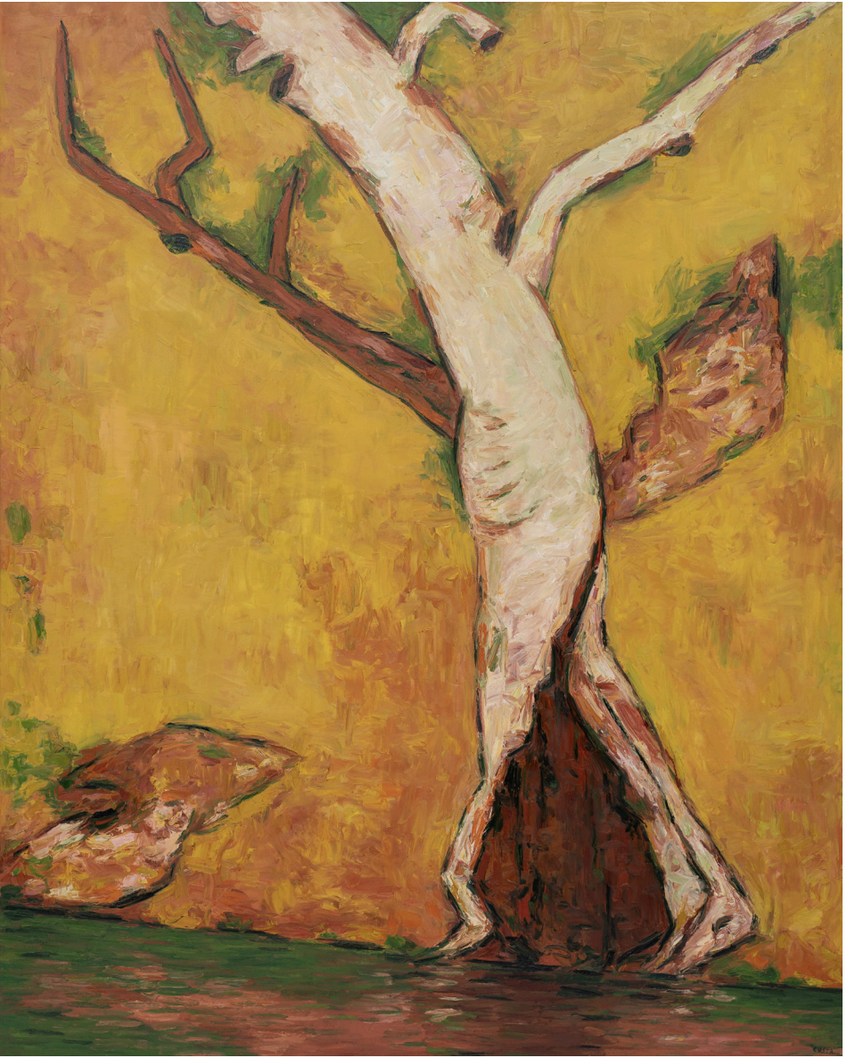 Tony Costa_Angophora No 6.png