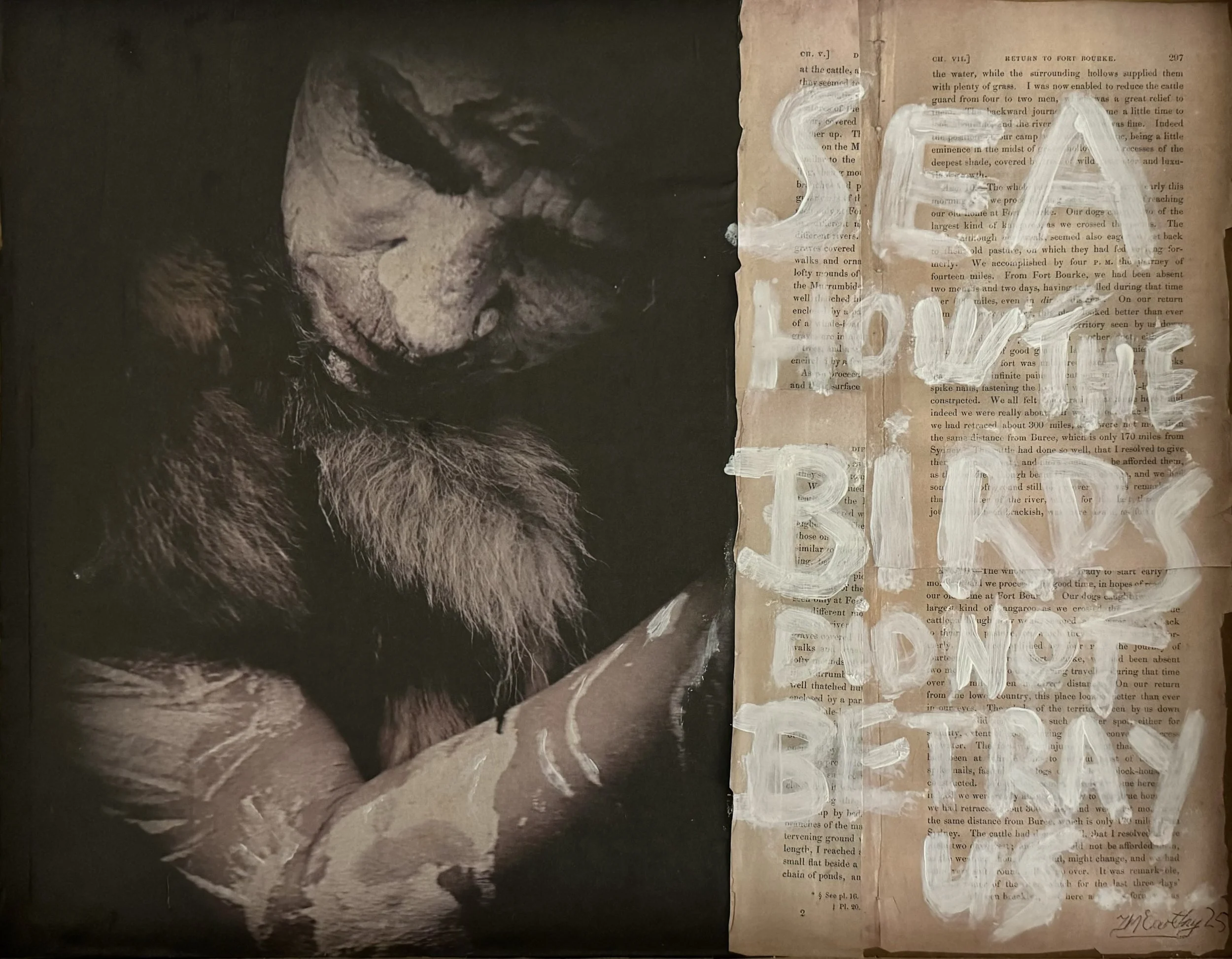 Teena McCarthy | SEA BIRDS